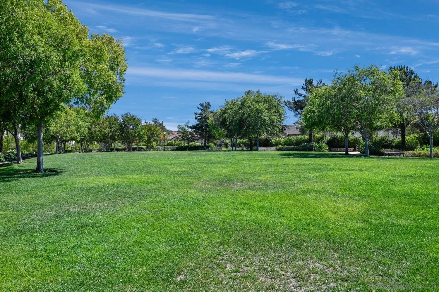 Photo #36: 250039892 Listing: Photo #36