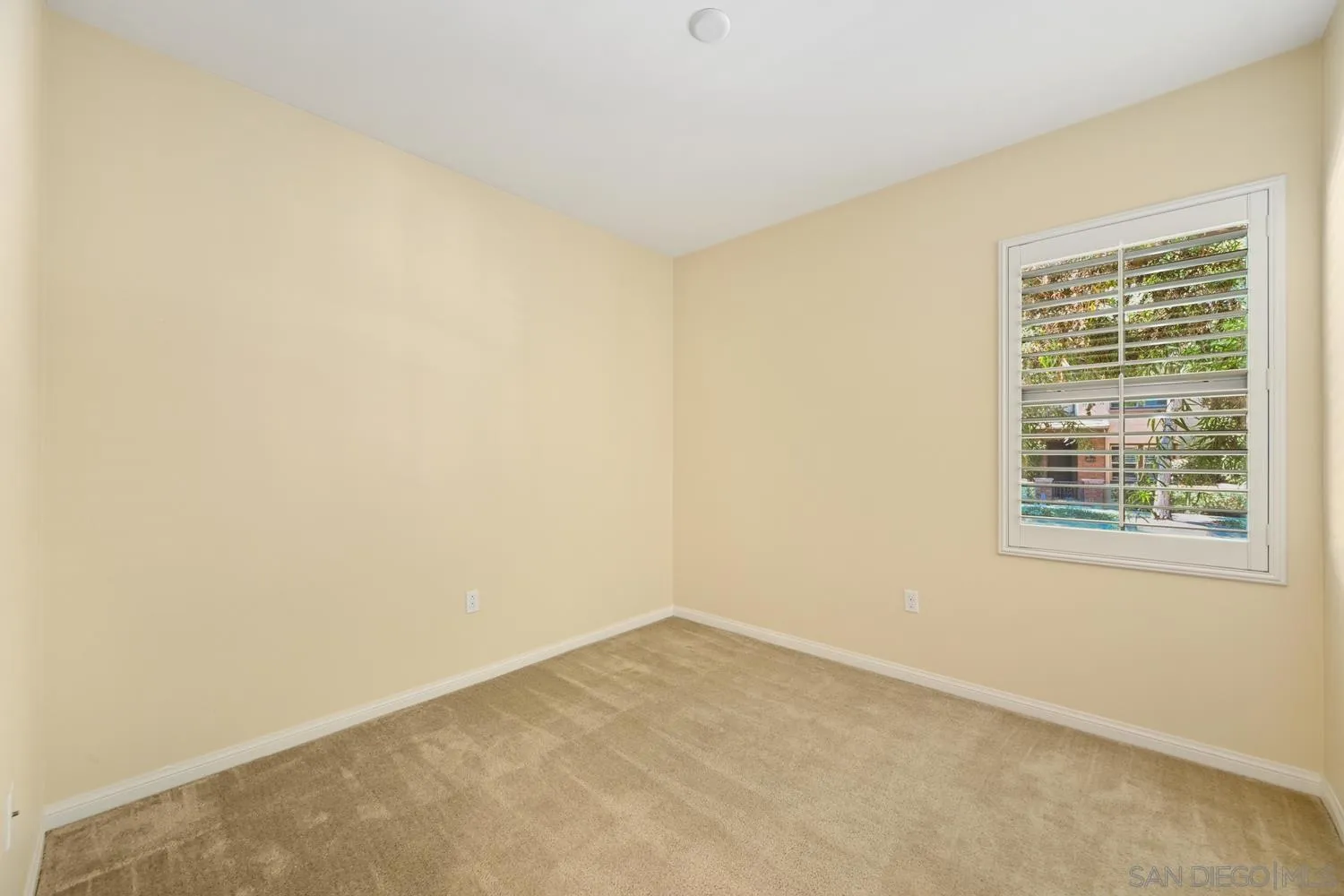 Photo #19: 250039892 Listing: Photo #19