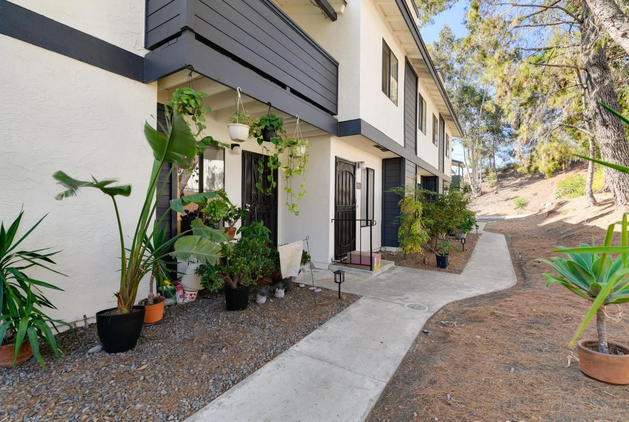 Photo #2: 250039994 Listing 