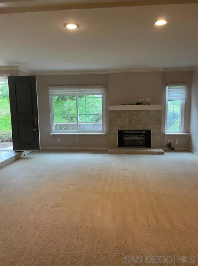 Photo #4: 250040078 Listing 