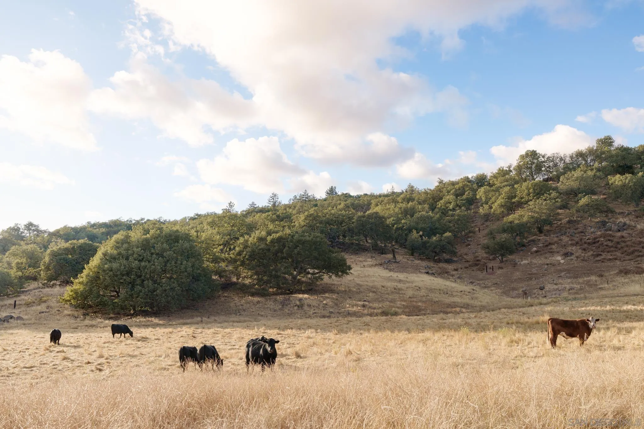 26904 Mesa Grande, Santa Ysabel, CA, 92070