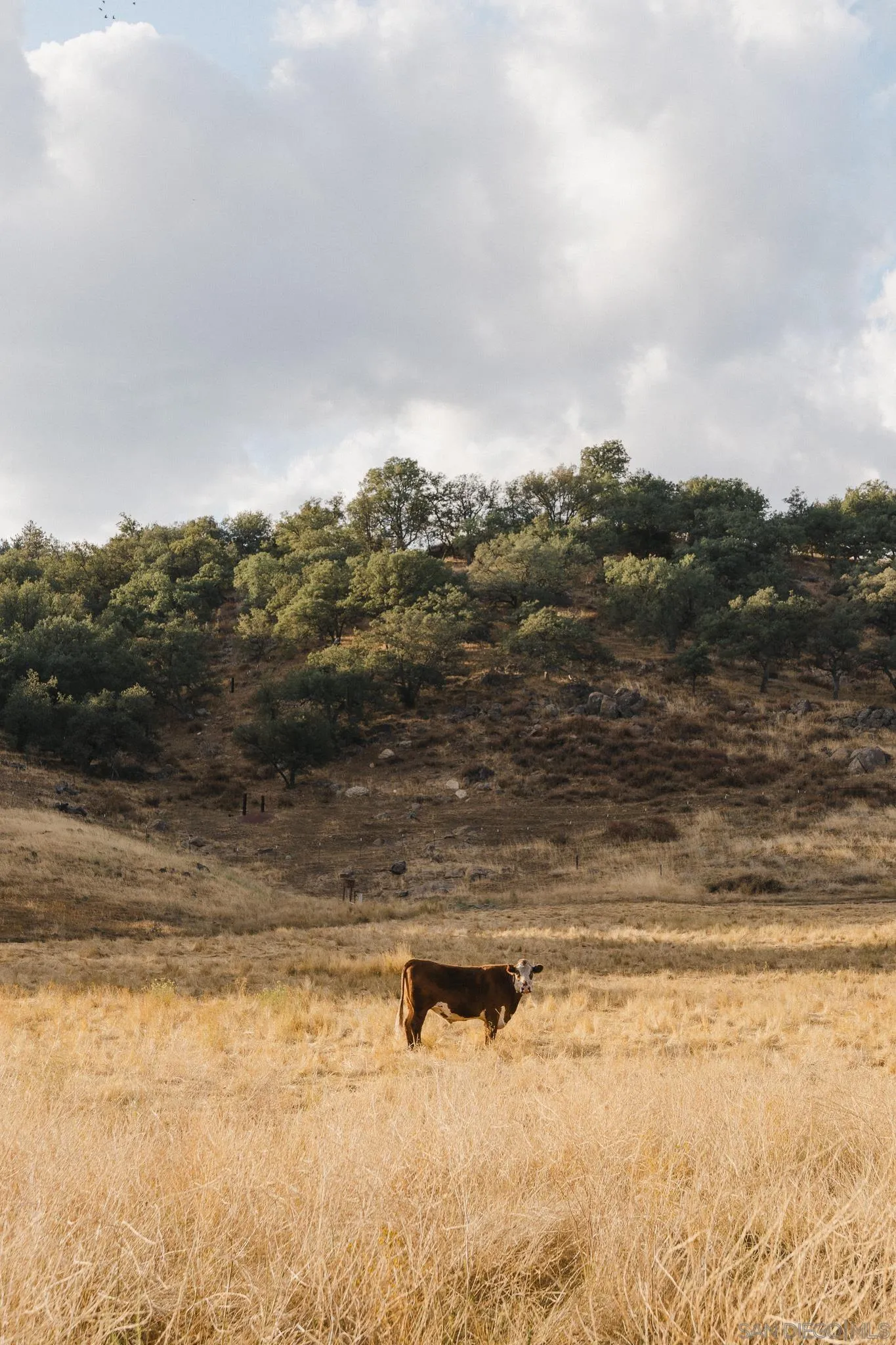 26904 Mesa Grande, Santa Ysabel, CA, 92070
