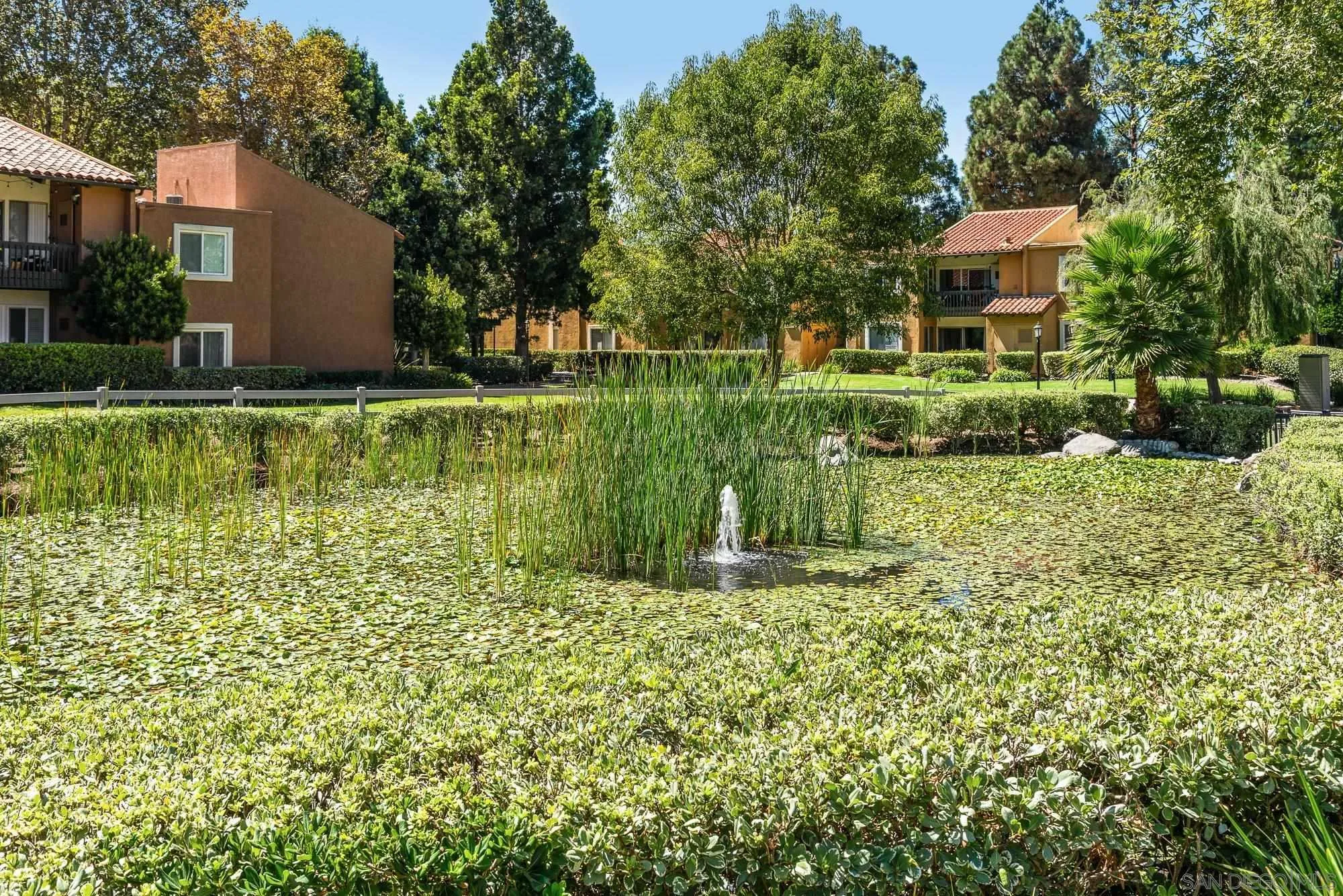 Photo #50: 250040521 Listing: Photo #50