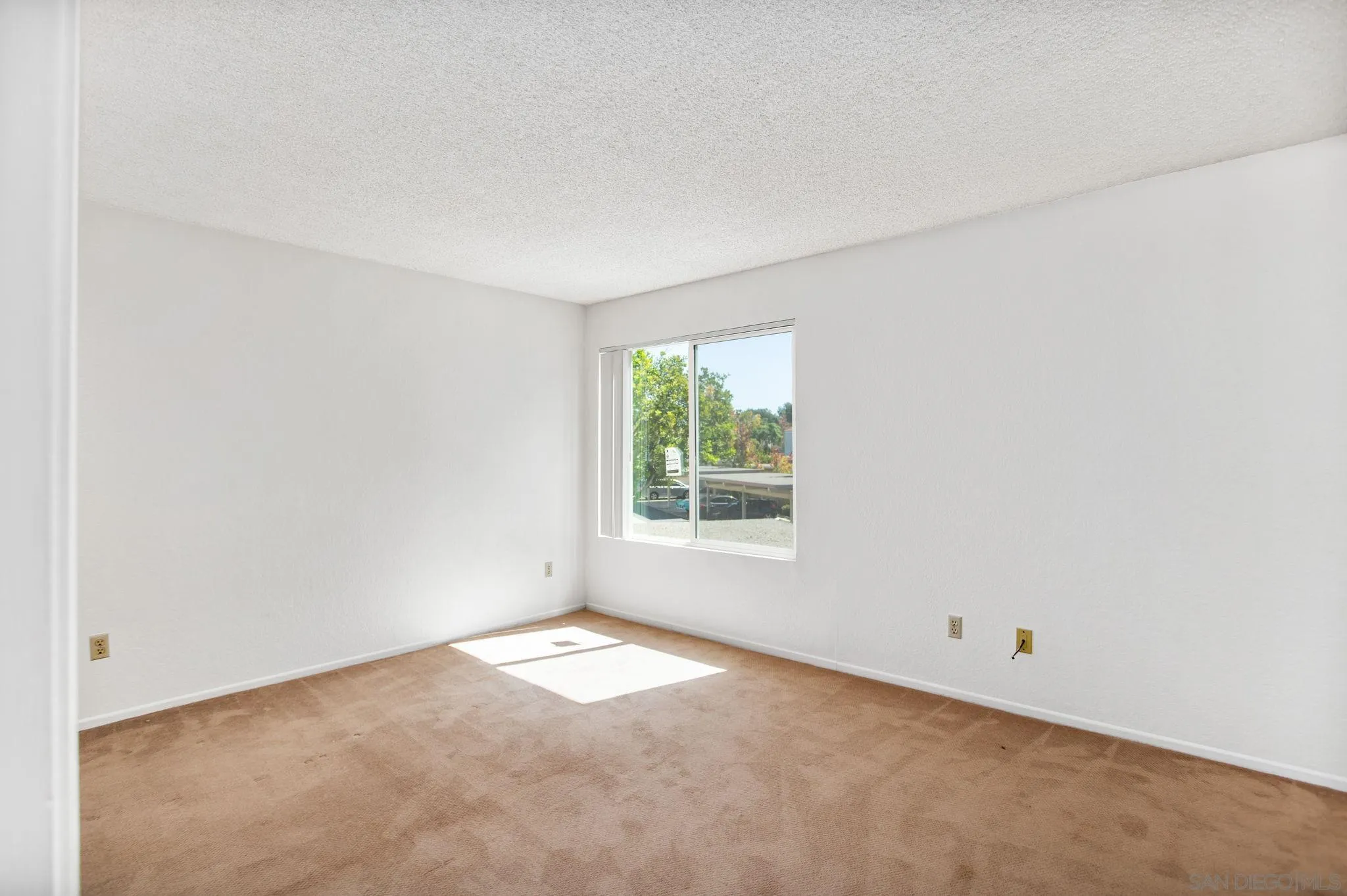 Photo #15: 250040623 Listing: Photo #15