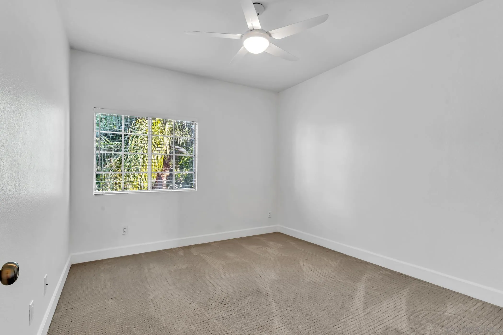 Photo #19: 250040720 Listing: Photo #19