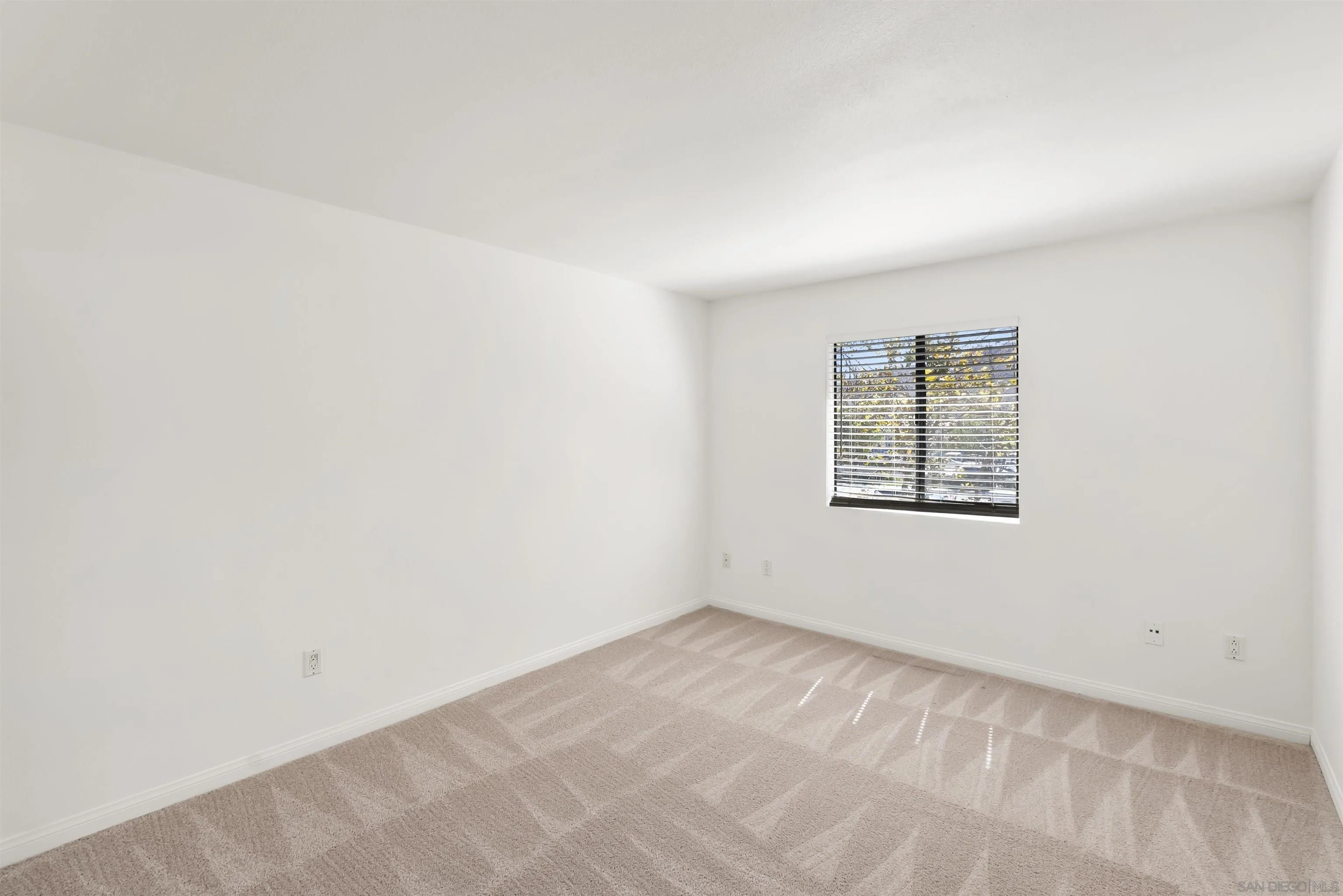 Photo #3: 250040775 Listing: Photo #3