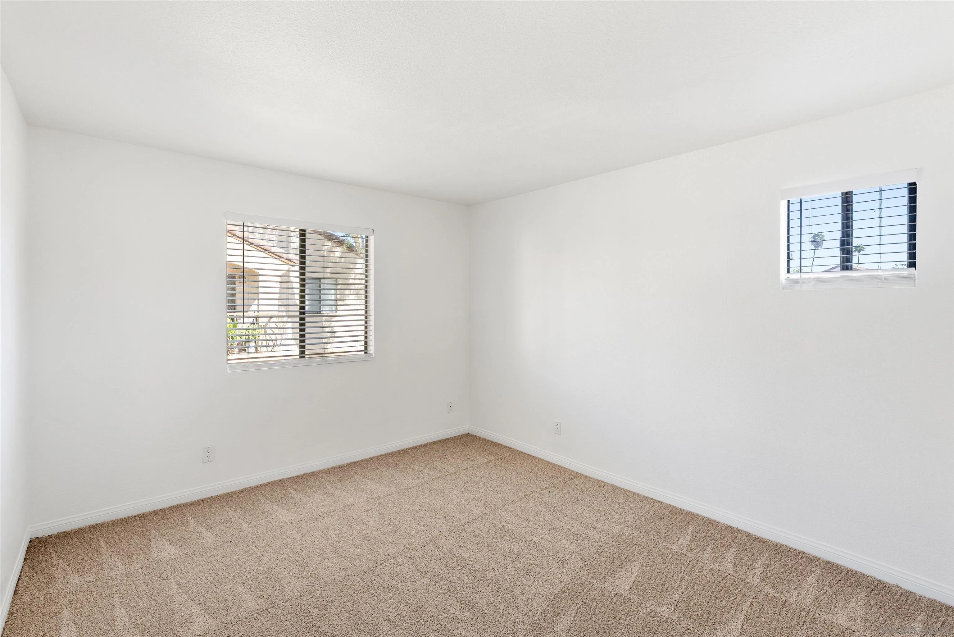 Photo #5: 250040798 Listing: Photo #5