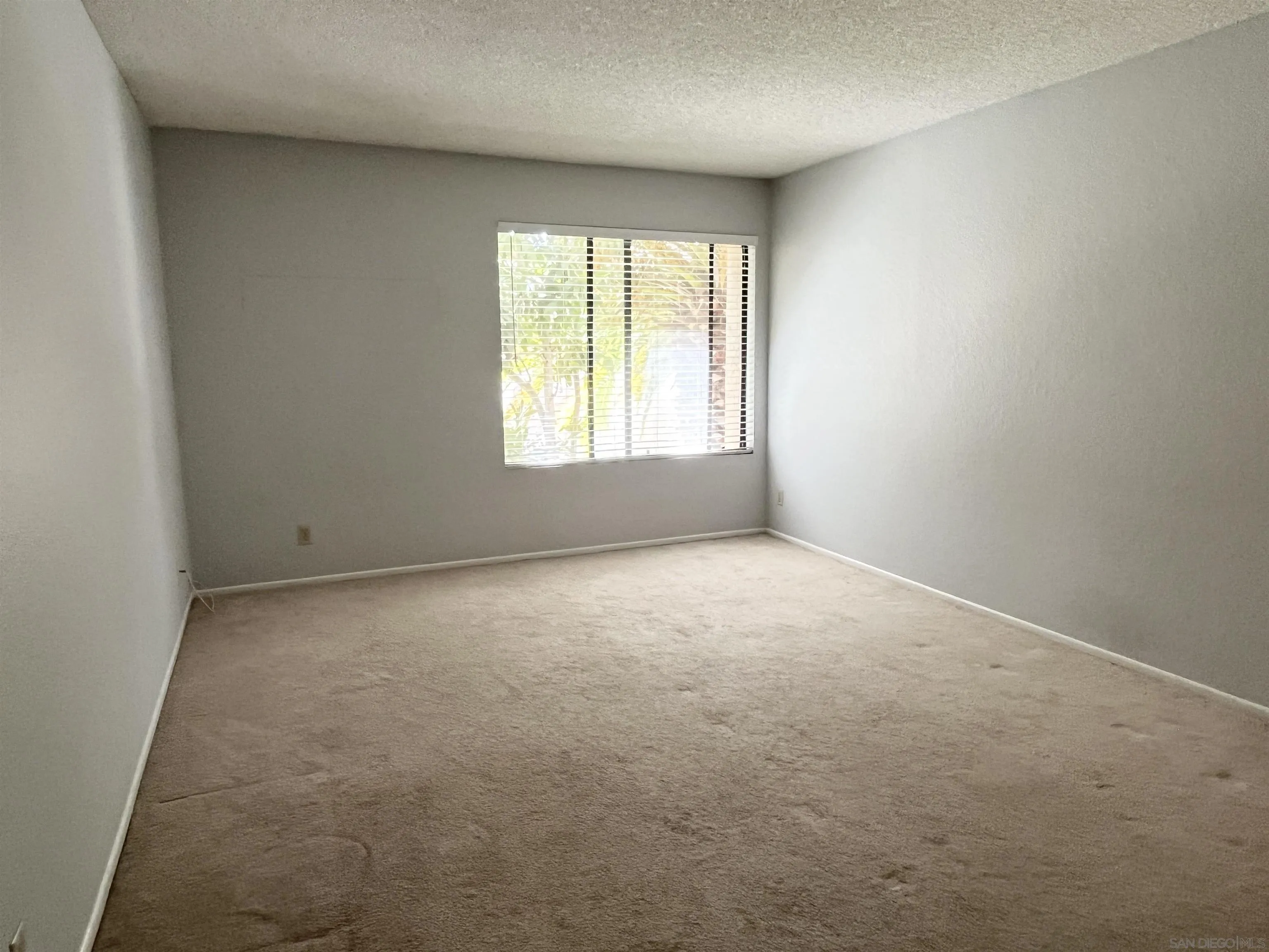 Photo #15: 250040859 Listing: Photo #15