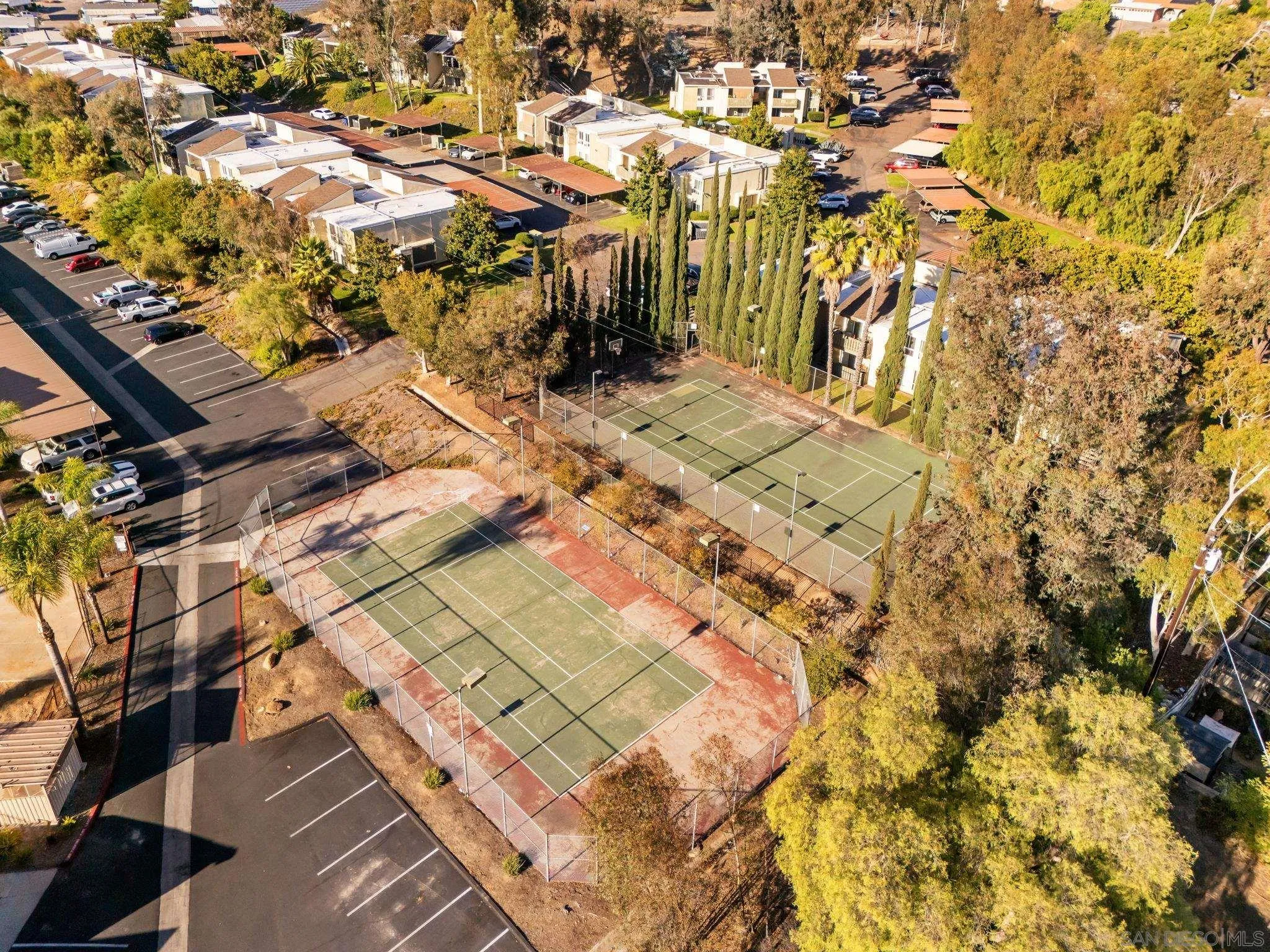 Photo #17: 250040996 Listing: Photo #17