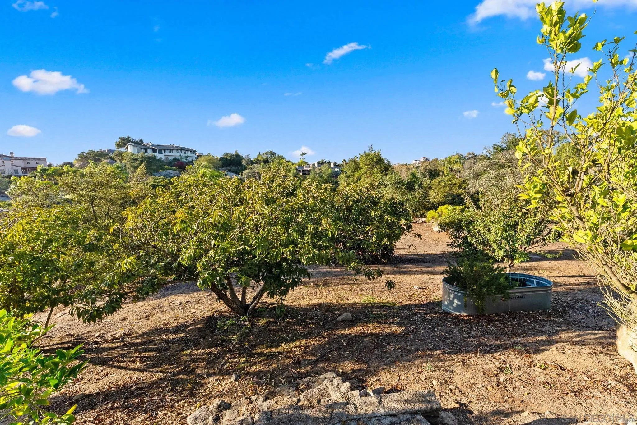 29059 Meadow Glen Way W, Escondido, CA, 92026