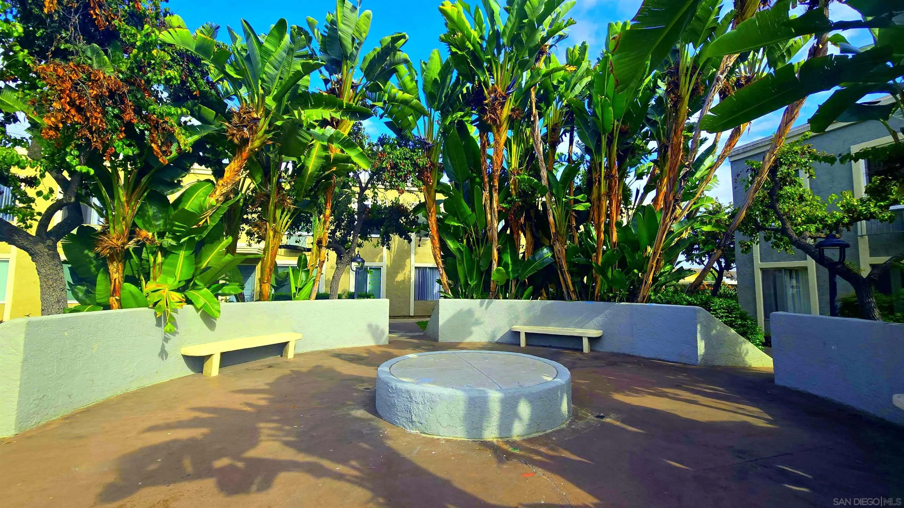 Photo #4: 250041593 Listing 