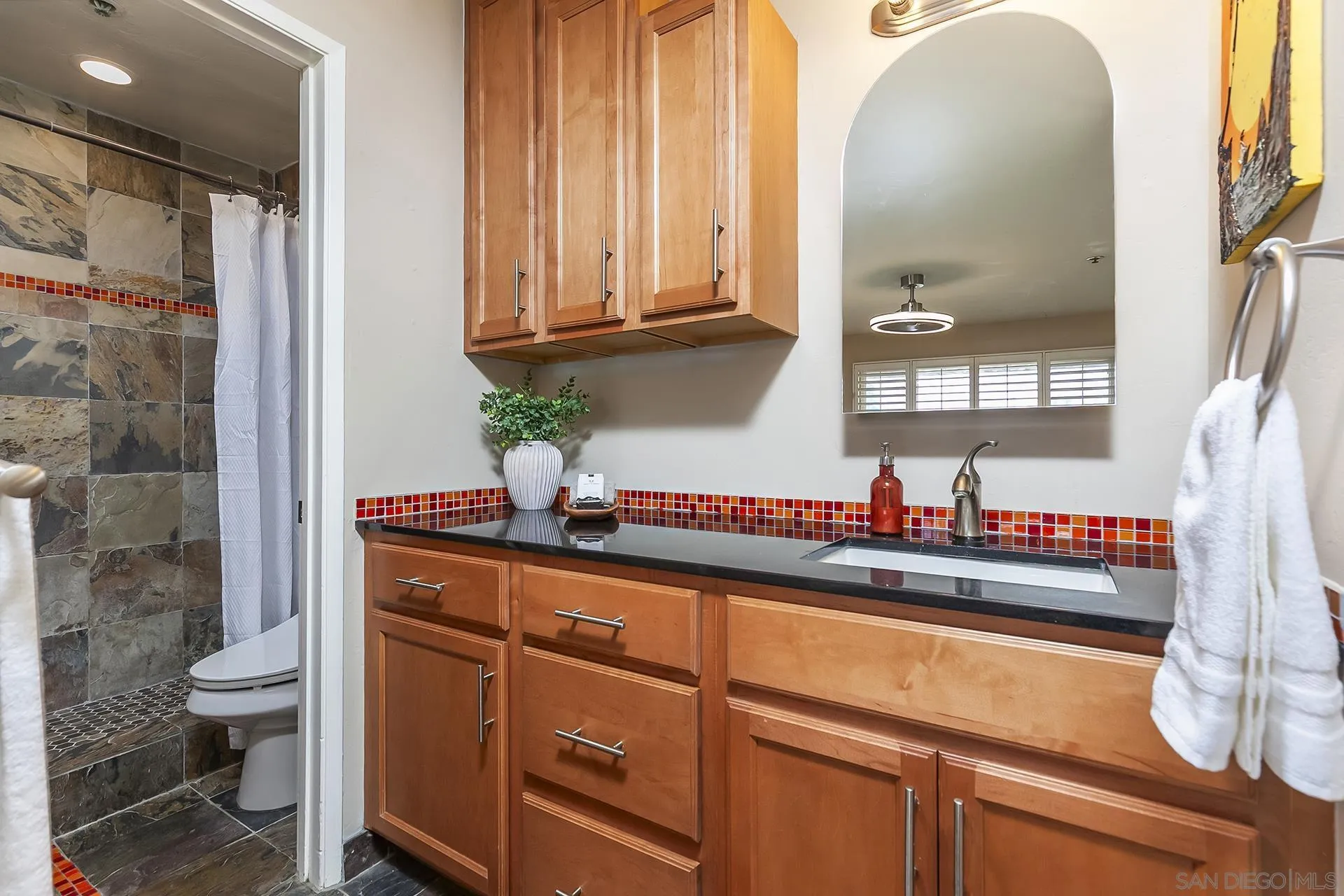 Photo #27: 250041595 Listing: Photo #27