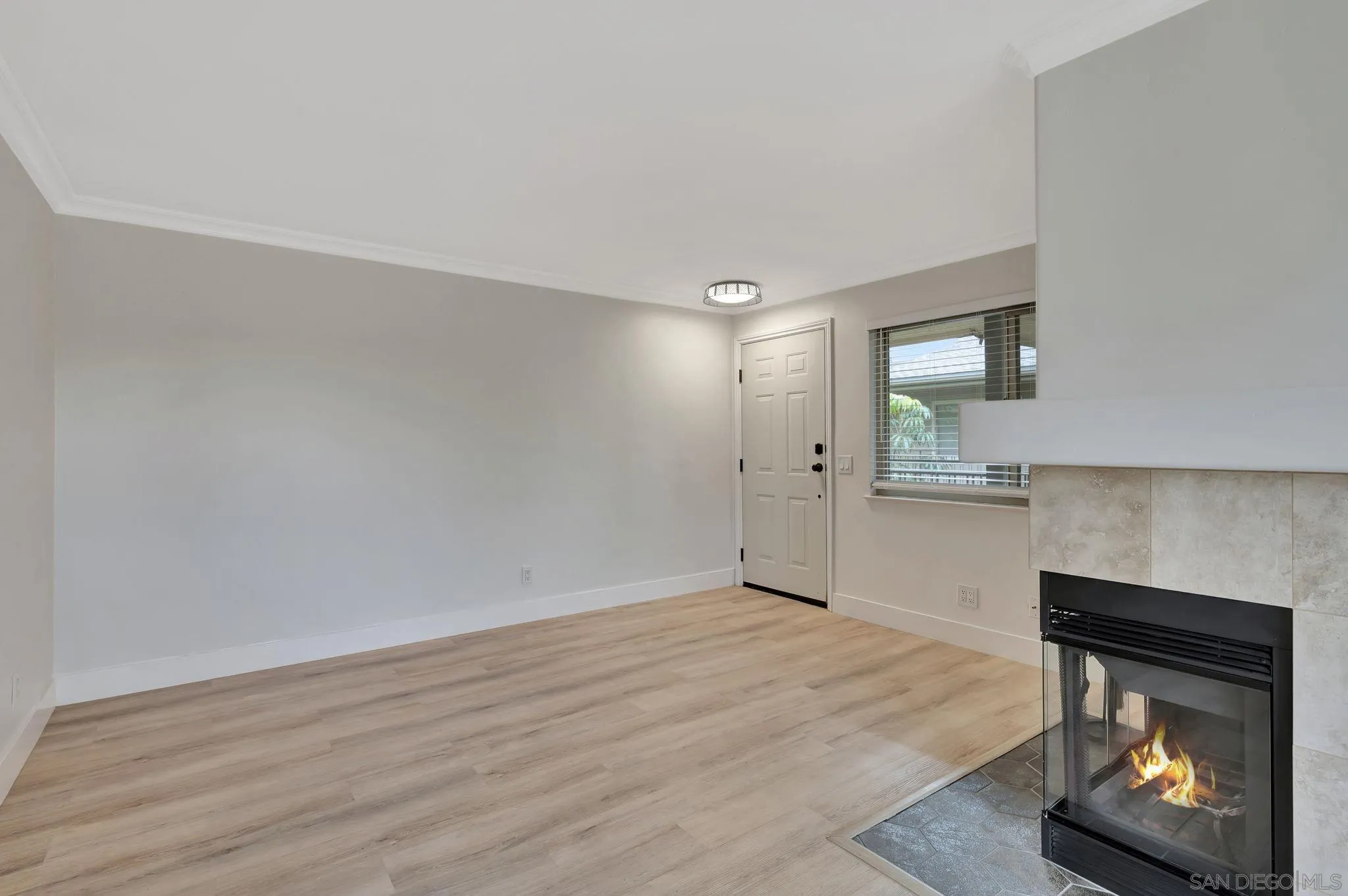 Photo #3: 250041693 Listing 