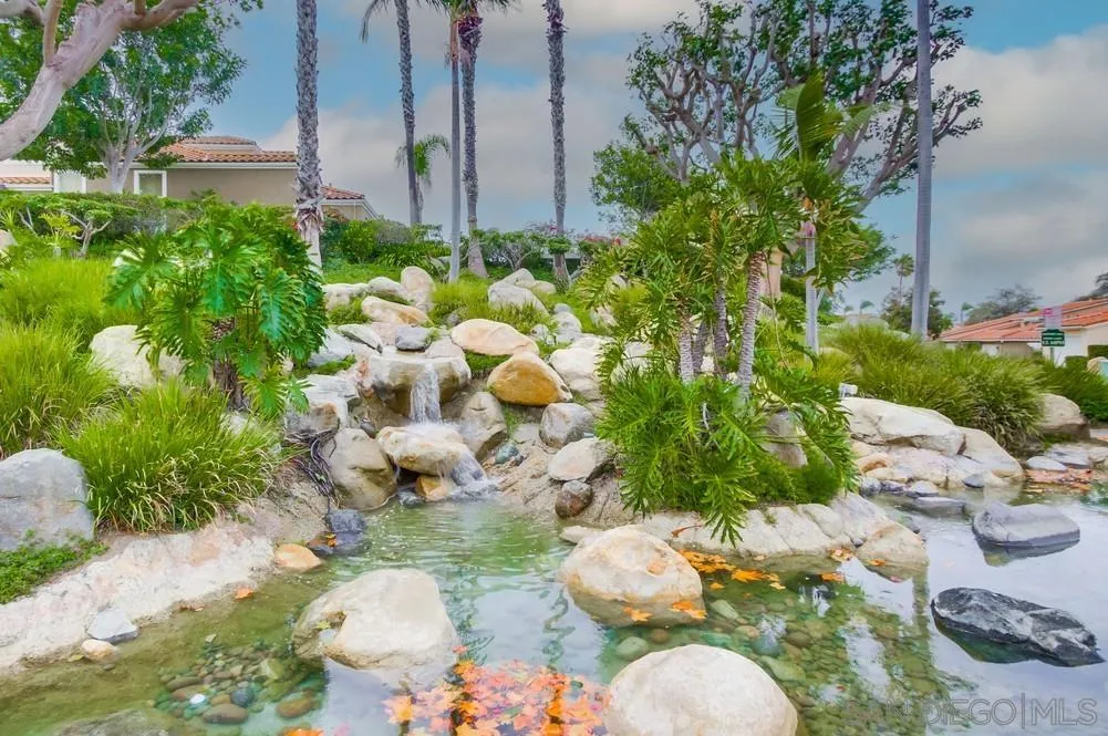 Photo #38: 250041700 Listing: Photo #38