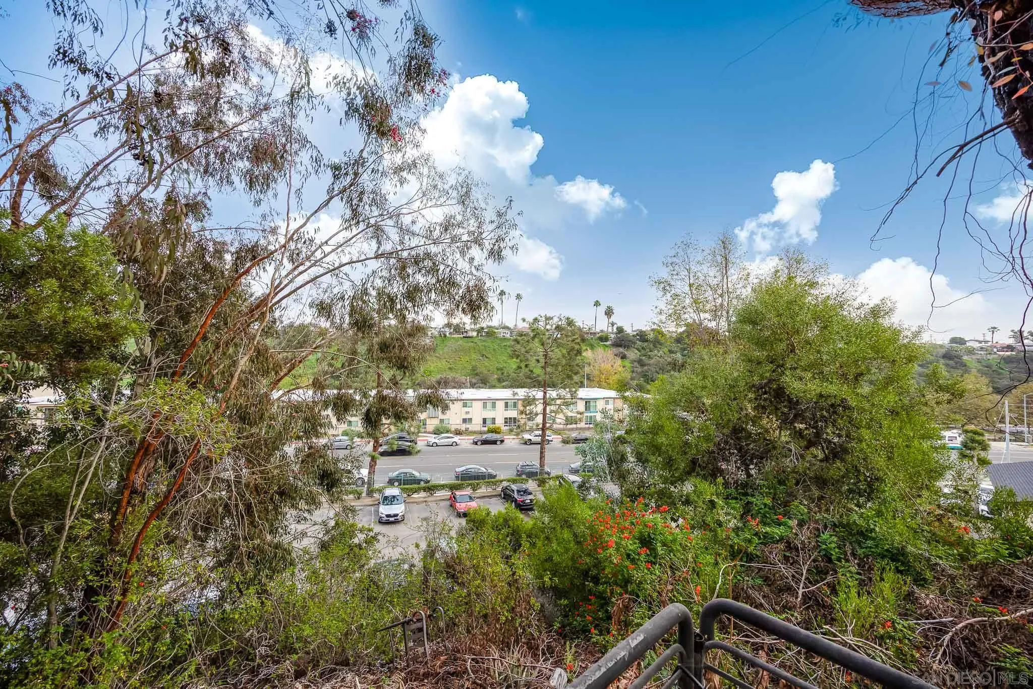 Photo #39: 250041818 Listing: Photo #39