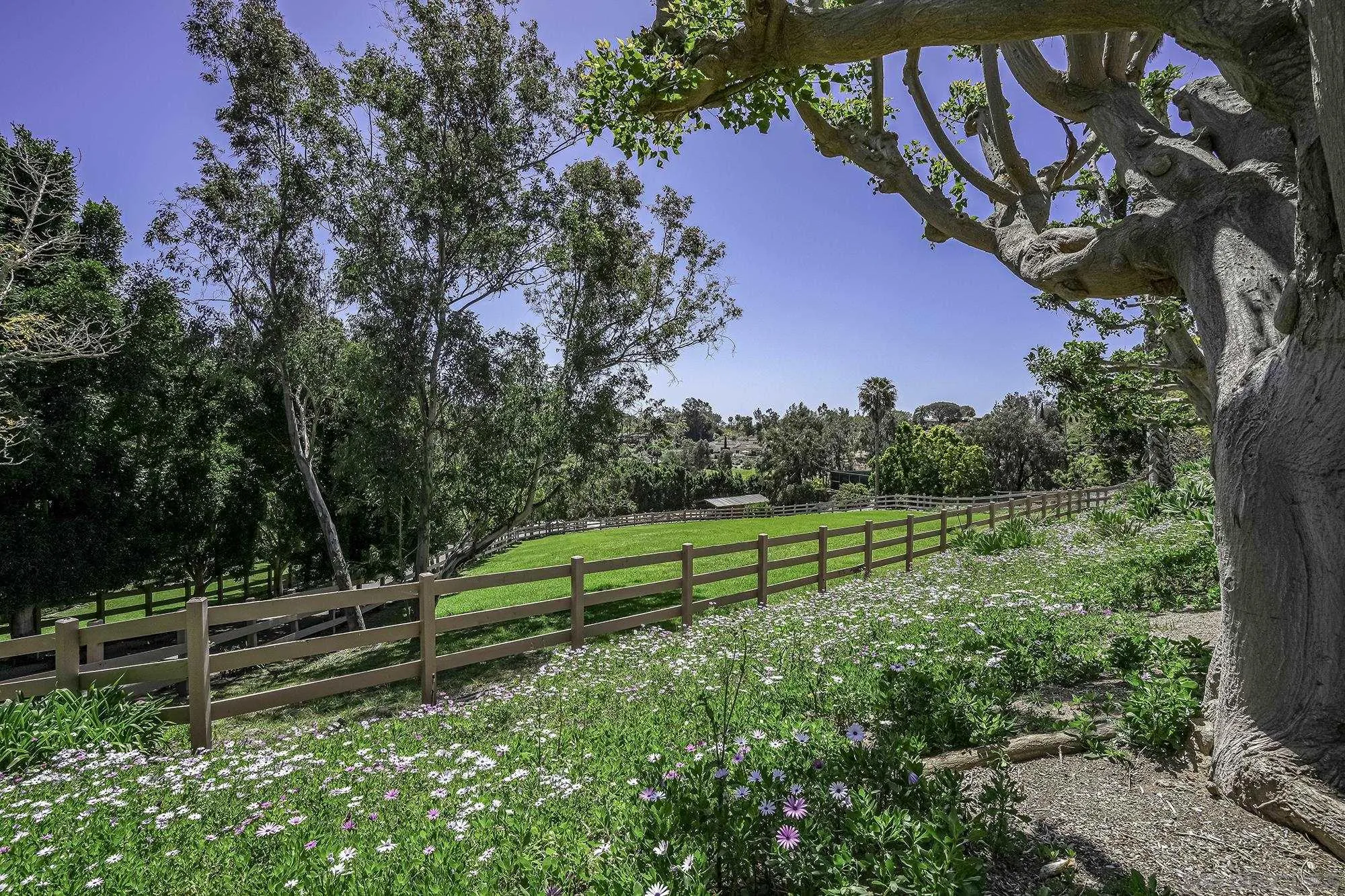 https://cdn.realtyfeed.com/cdn/127/250042105/67105d5ba11f95ed1c61bd7a6d4190cb.webp