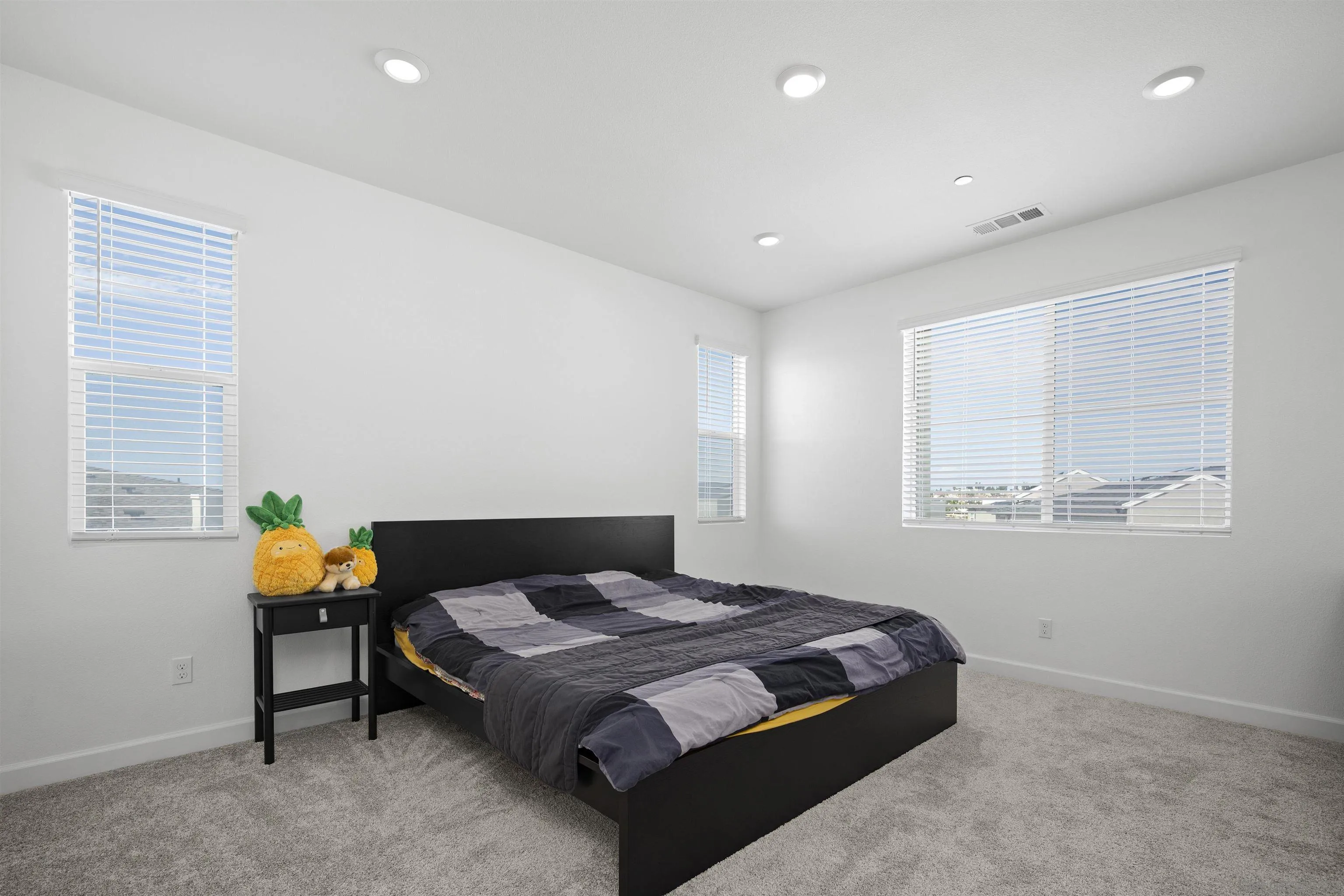 Photo #13: 250042225 Listing: Photo #13