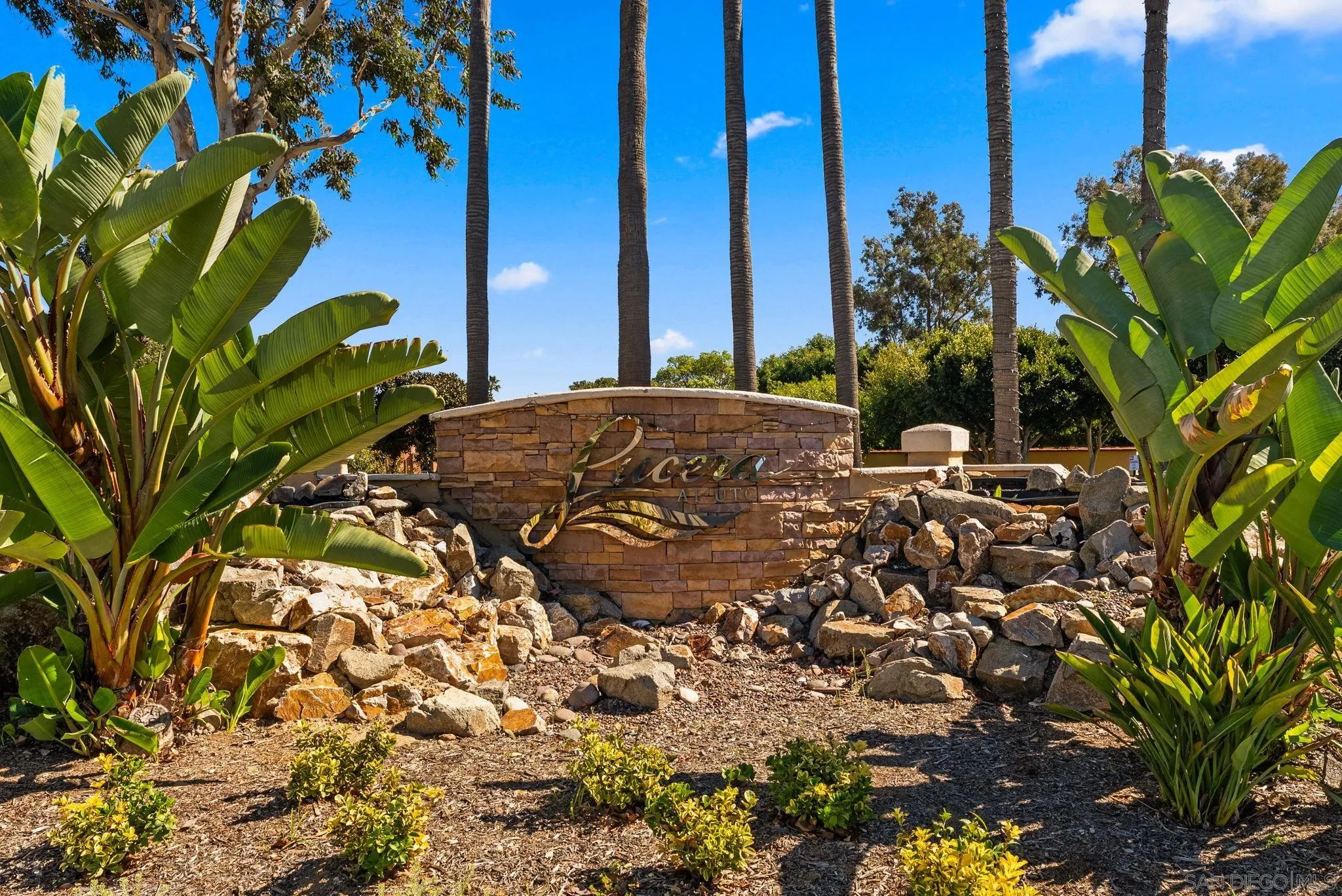 Photo #18: 250042236 Listing: Photo #18