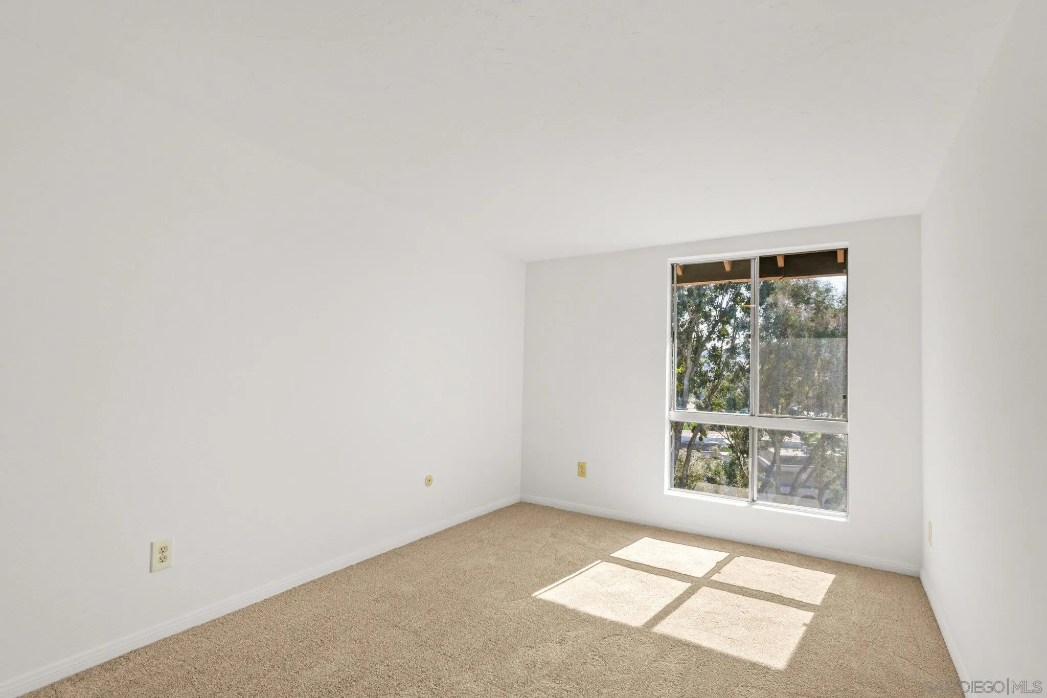 Photo #16: 250042736 Listing: Photo #16