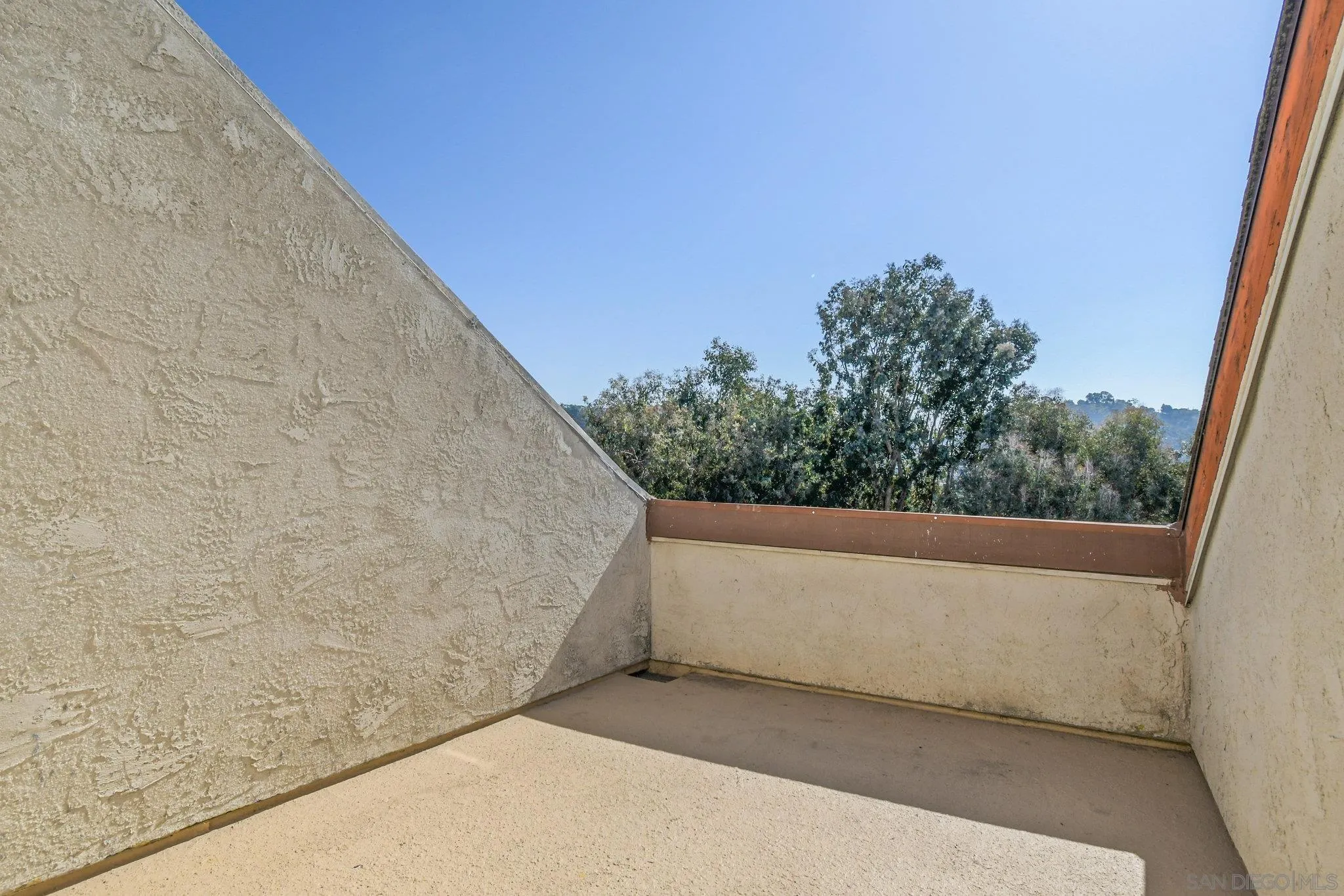 Photo #24: 250042736 Listing: Photo #24