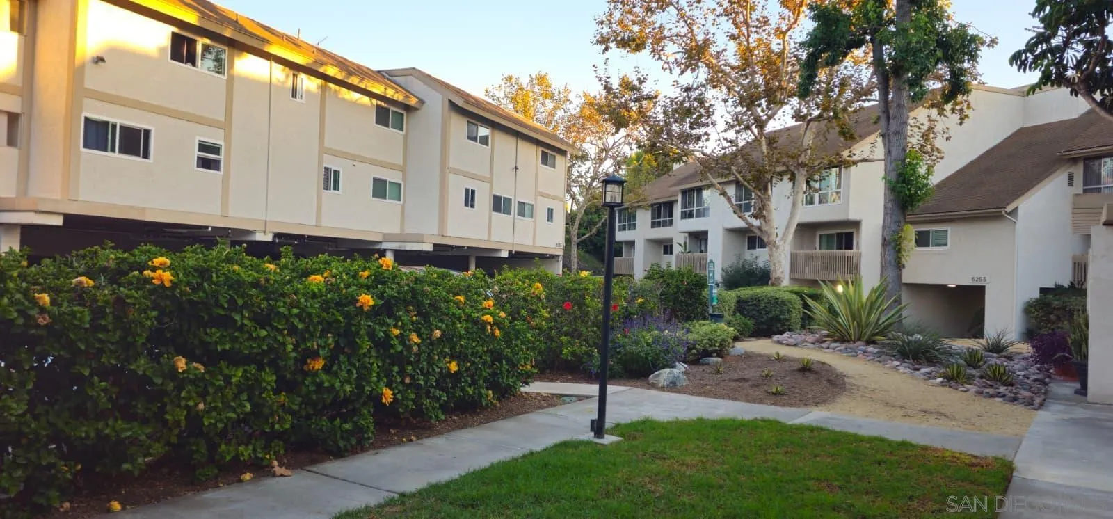 Photo #21: 250042750 Listing: Photo #21