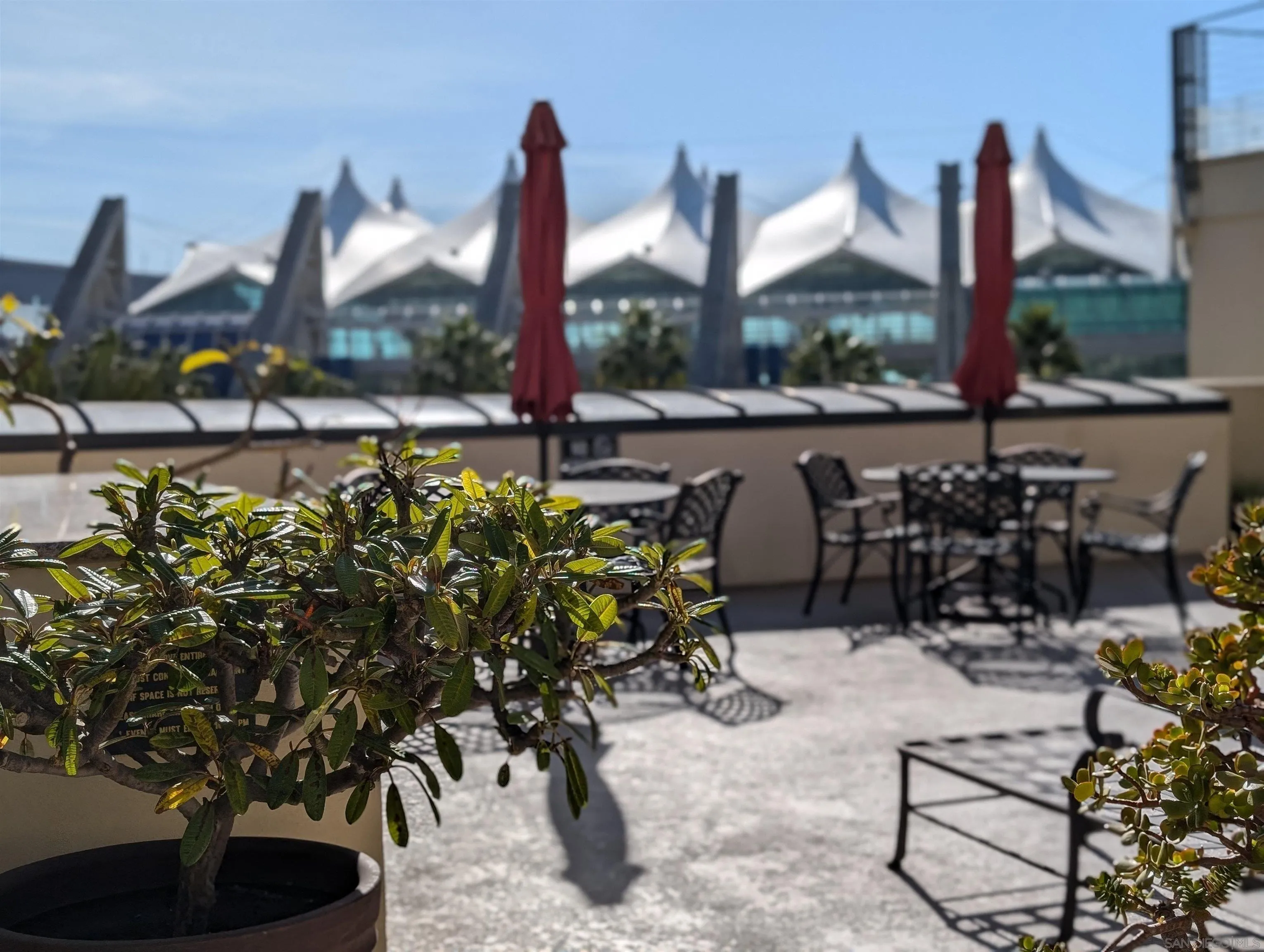 Photo #20: 250042752 Listing: Photo #20