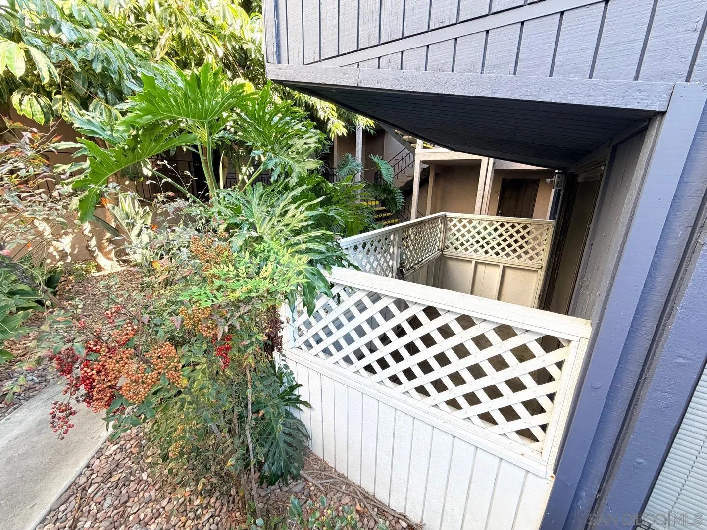 Photo #5: 250042766 Listing: Photo #5