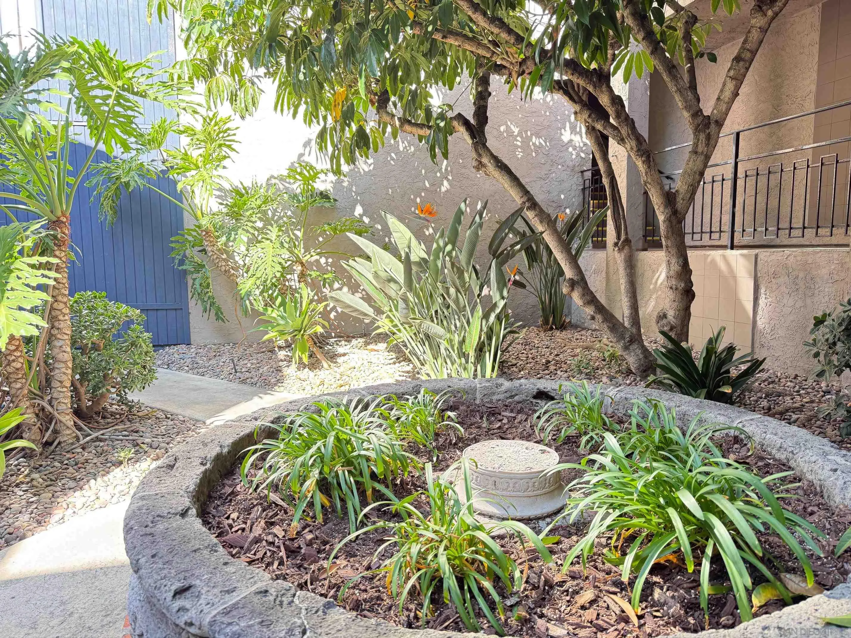 Photo #18: 250042766 Listing: Photo #18