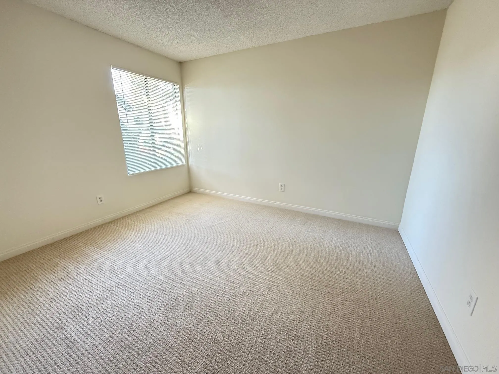 Photo #11: 250042766 Listing: Photo #11