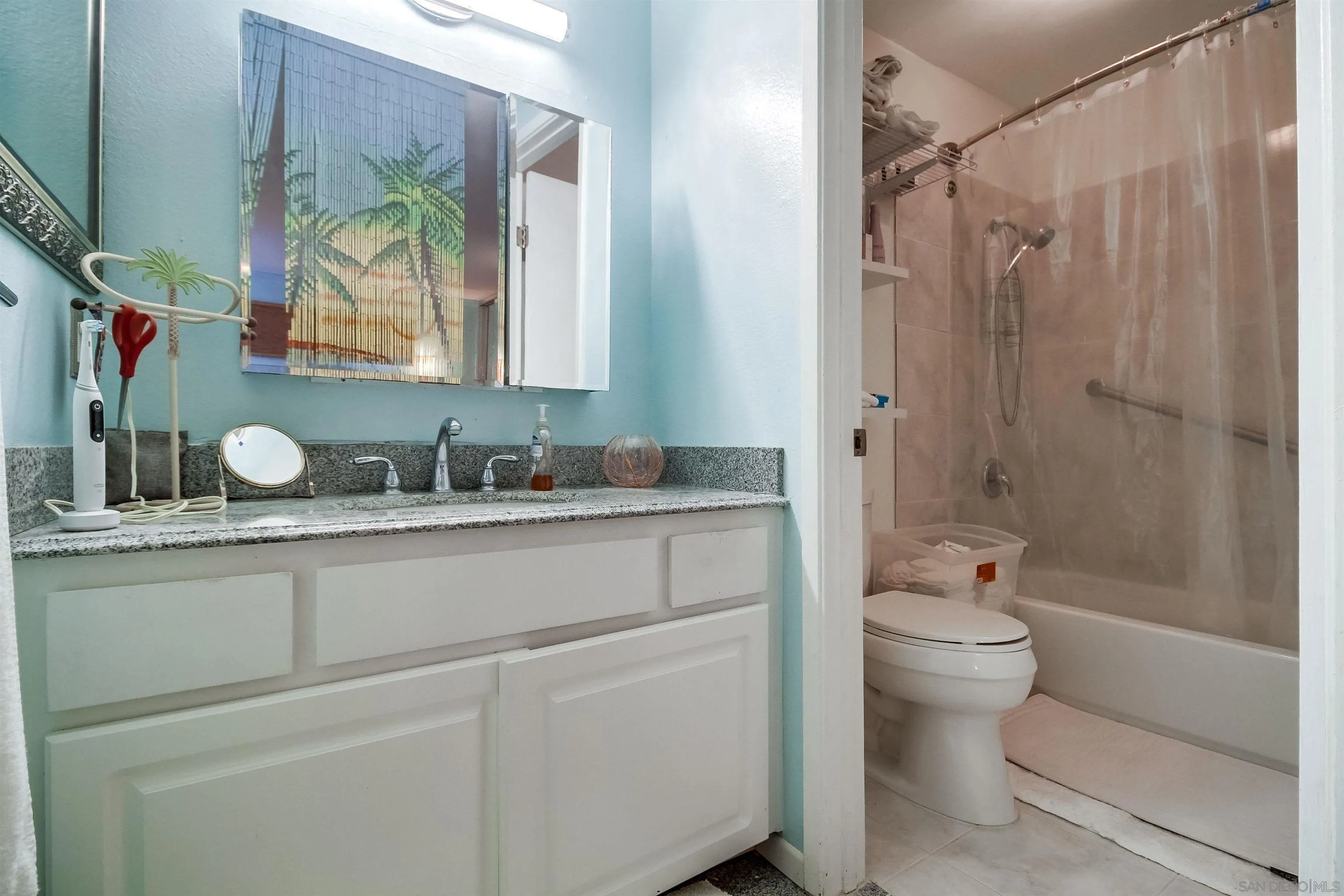 Photo #21: 250042789 Listing: Photo #21
