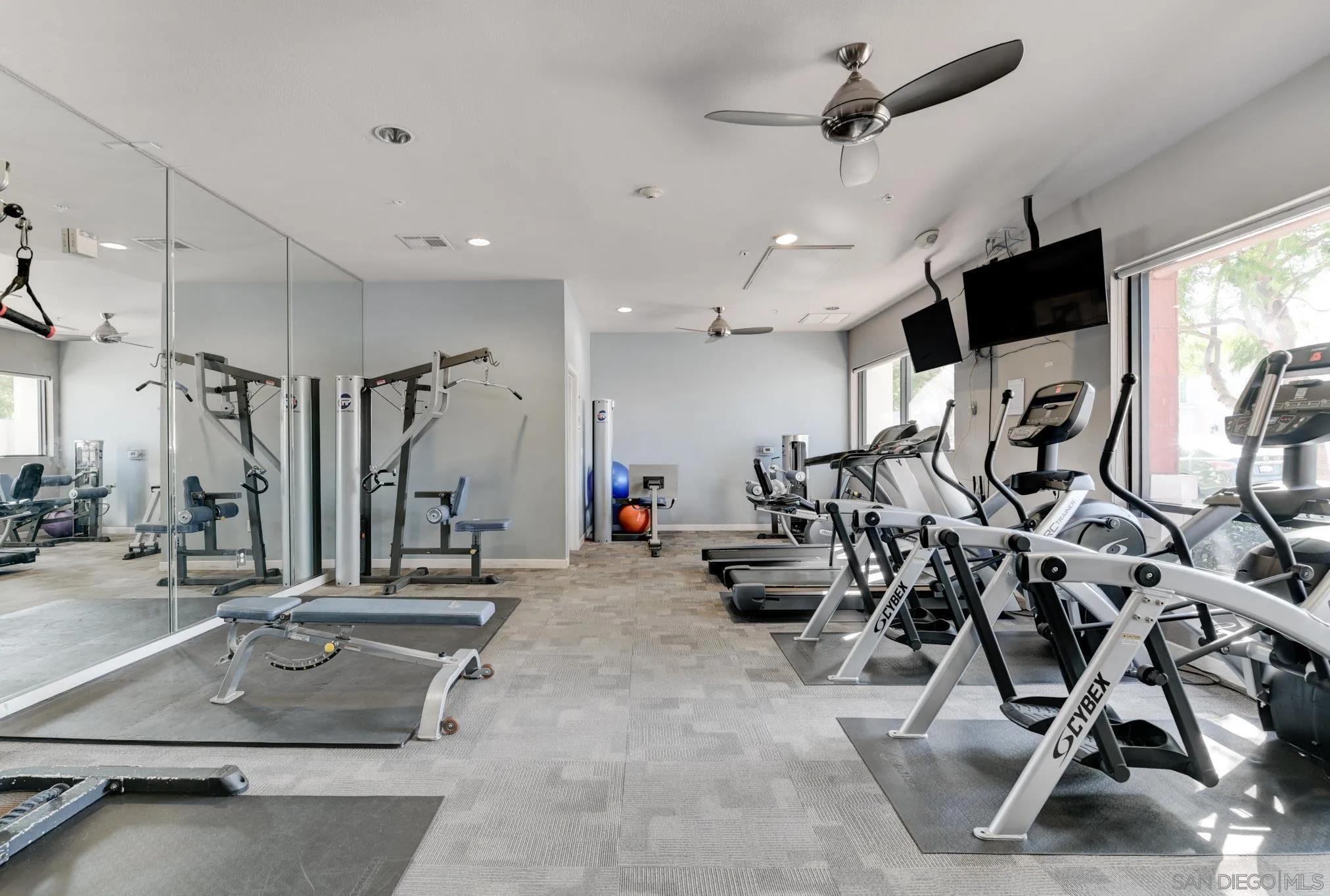 Photo #27: 250042800 Listing: Photo #27