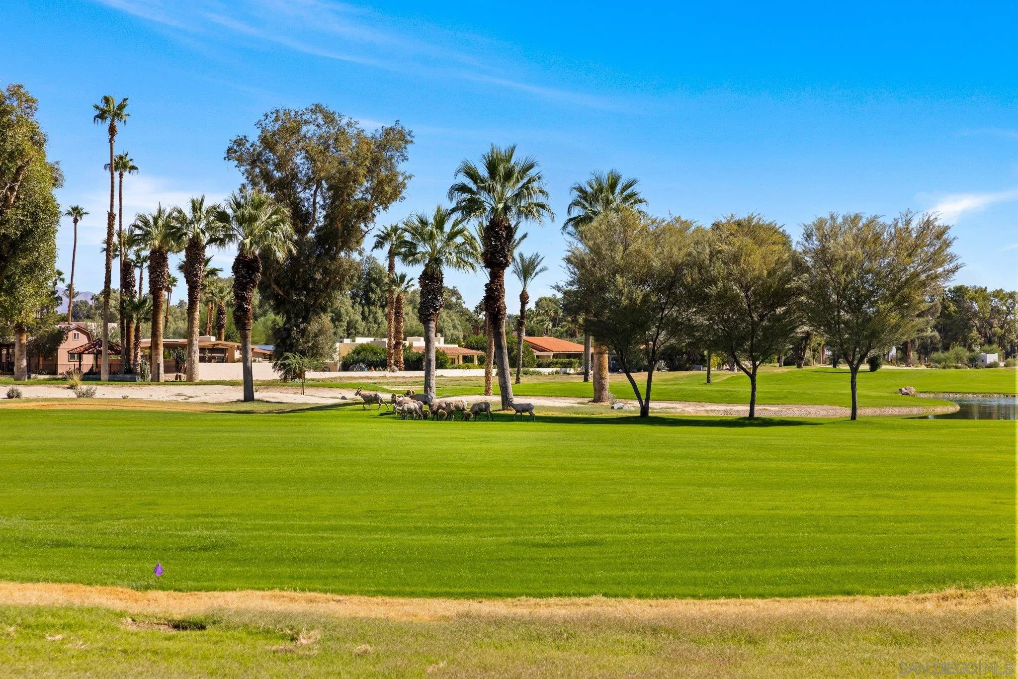 Photo #72: 250042809 Listing: Photo #72