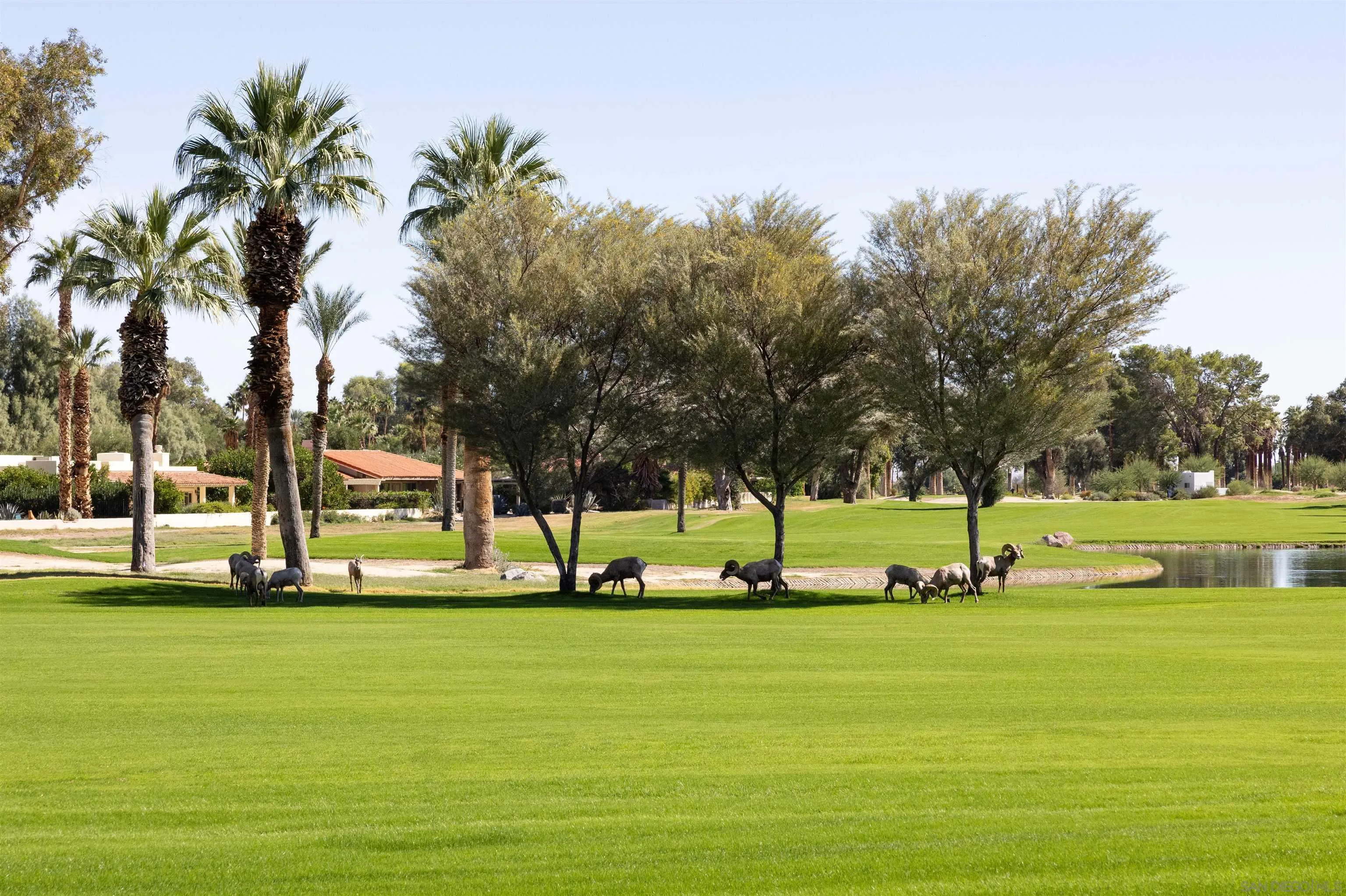 Photo #75: 250042809 Listing: Photo #75