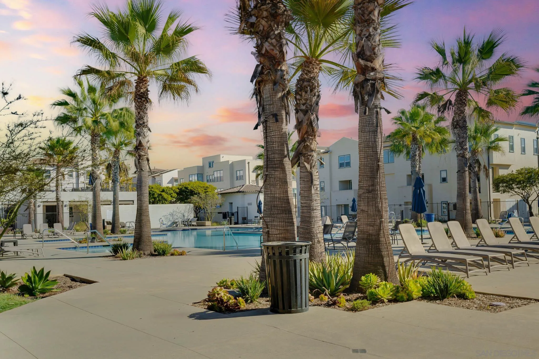 Photo #5: 250042881 Listing: Photo #5