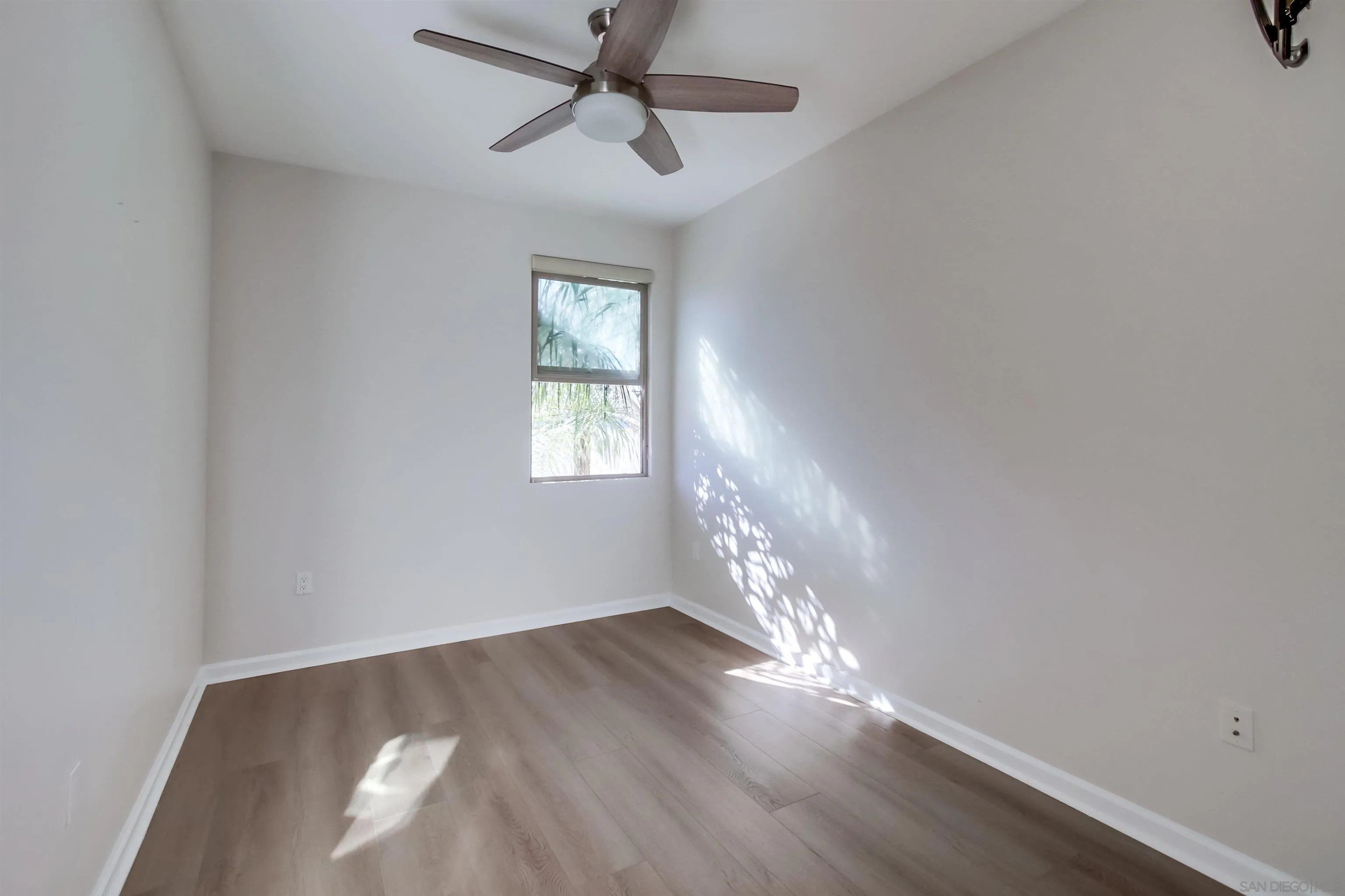 Photo #25: 250042888 Listing: Photo #25