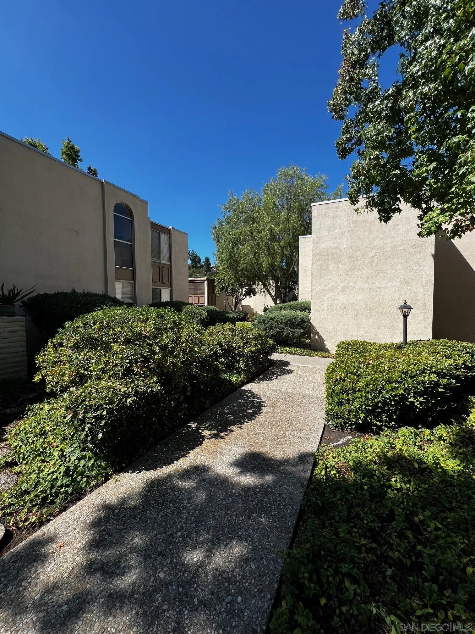 Photo #16: 250042889 Listing: Photo #16