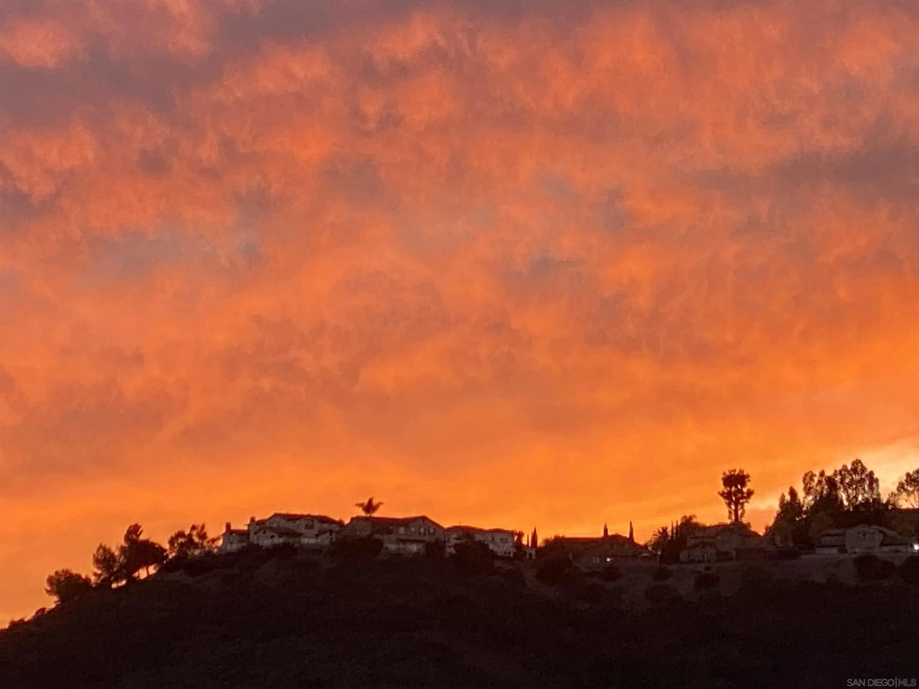 Photo #33: 250042891 Listing: Photo #33