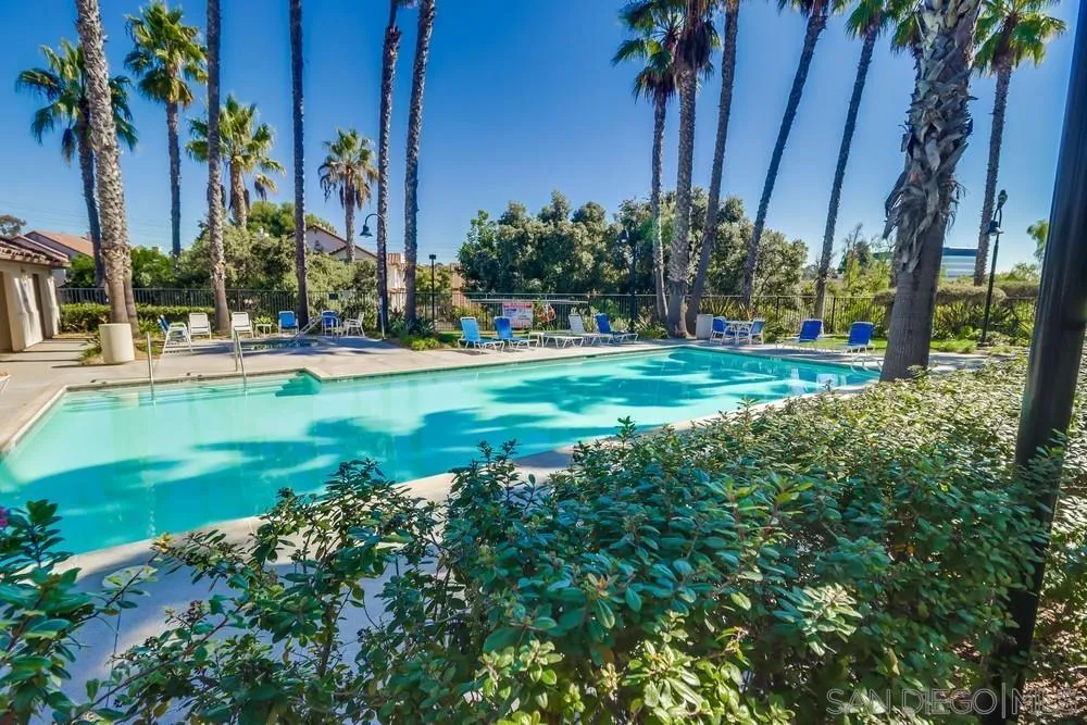 Photo #35: 250042907 Listing: Photo #35