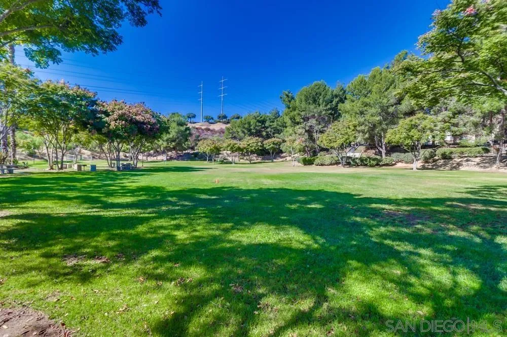 Photo #36: 250042907 Listing: Photo #36