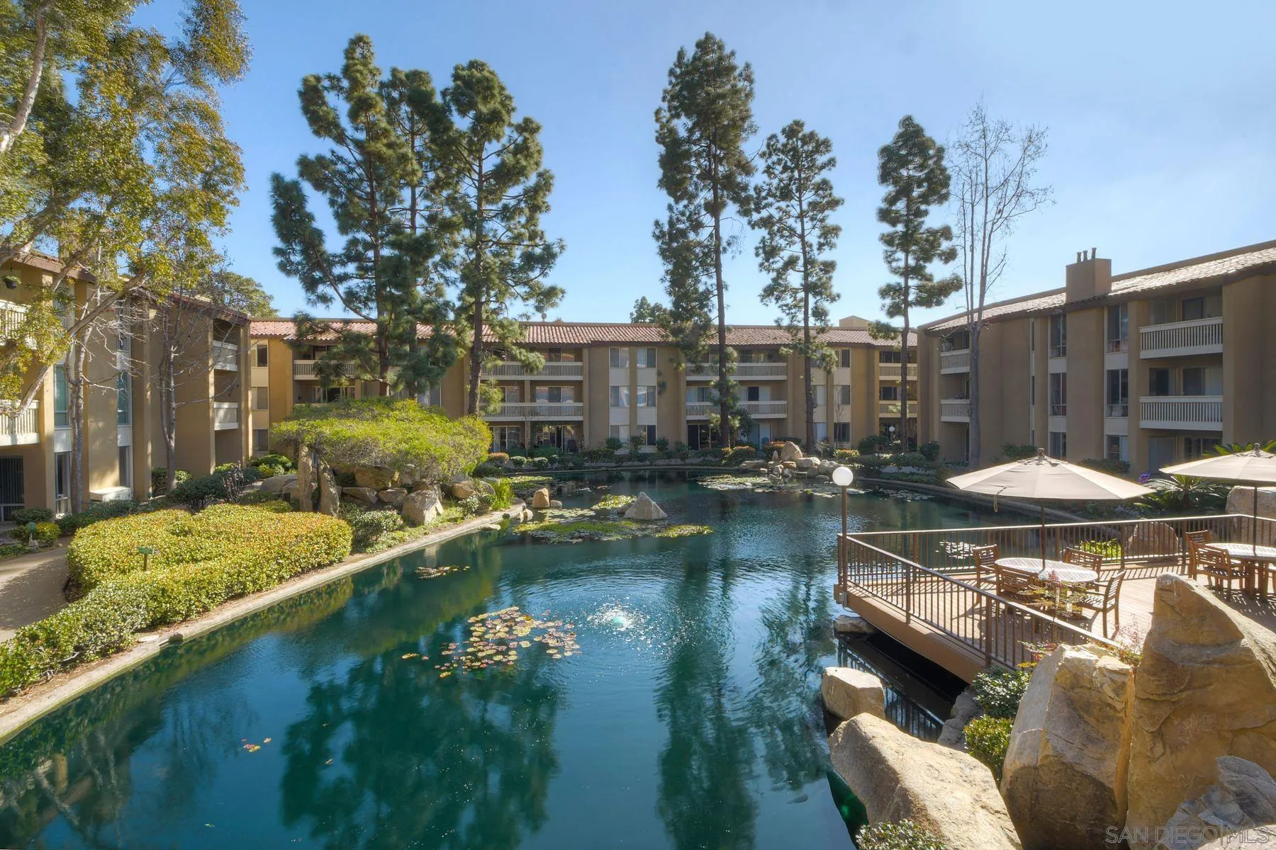 Photo #31: 250042945 Listing: Photo #31