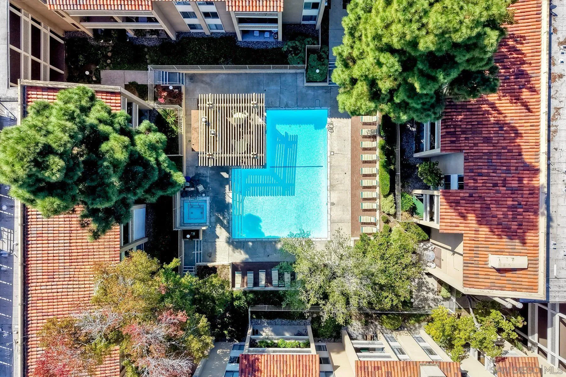 Photo #49: 250042945 Listing: Photo #49