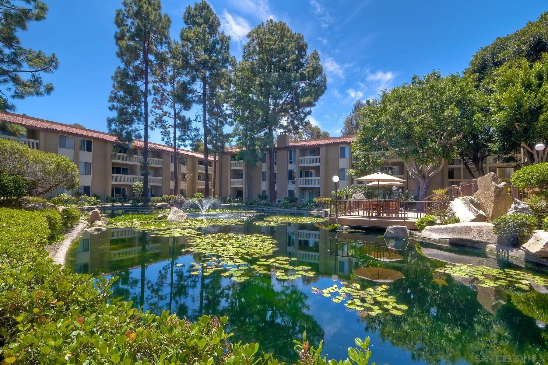 Photo #32: 250042945 Listing: Photo #32