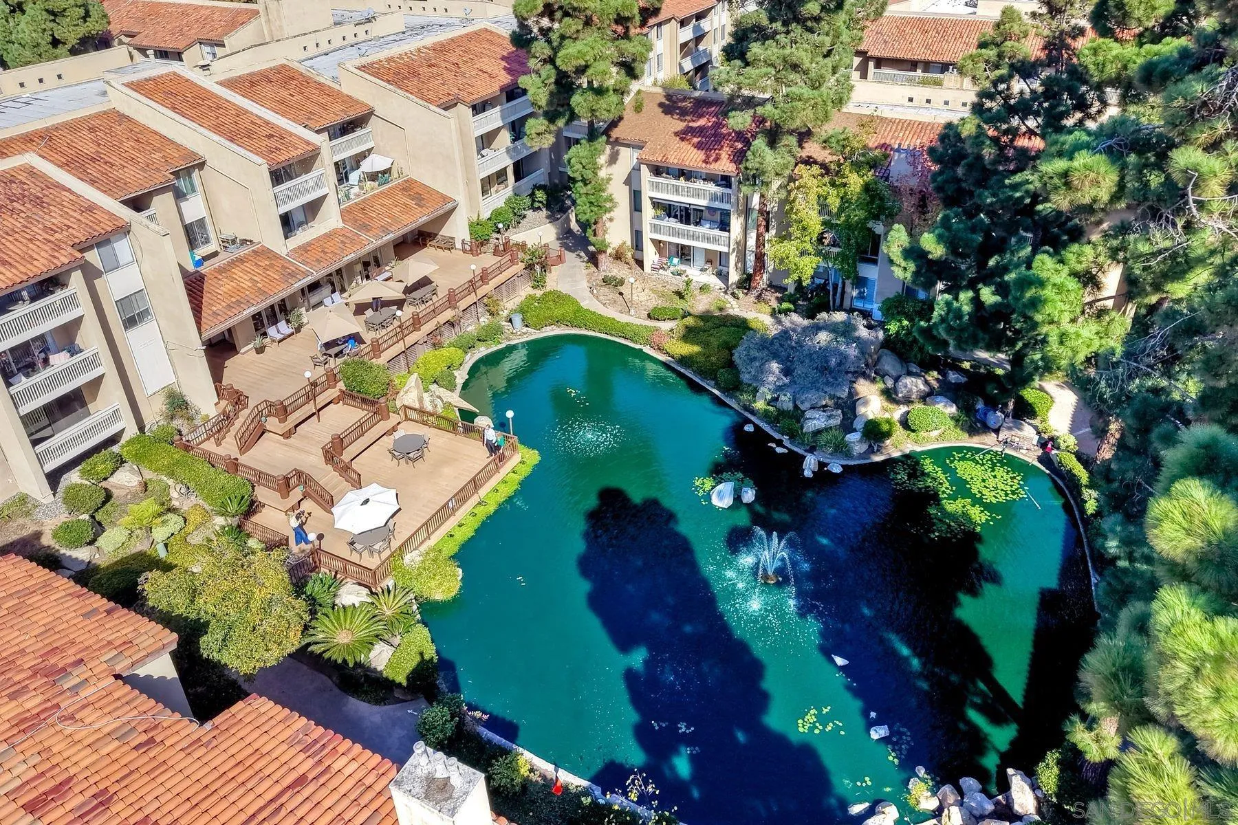 Photo #41: 250042945 Listing: Photo #41