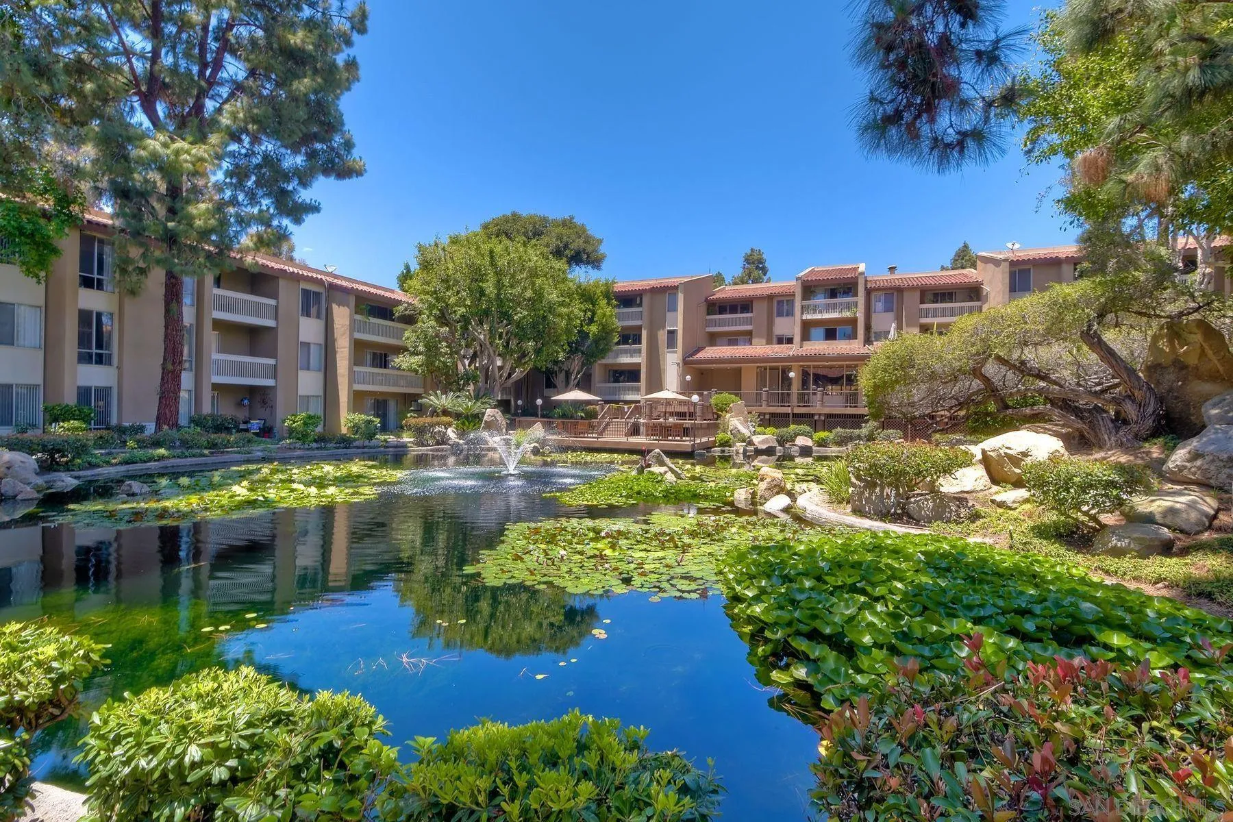 Photo #29: 250042945 Listing: Photo #29