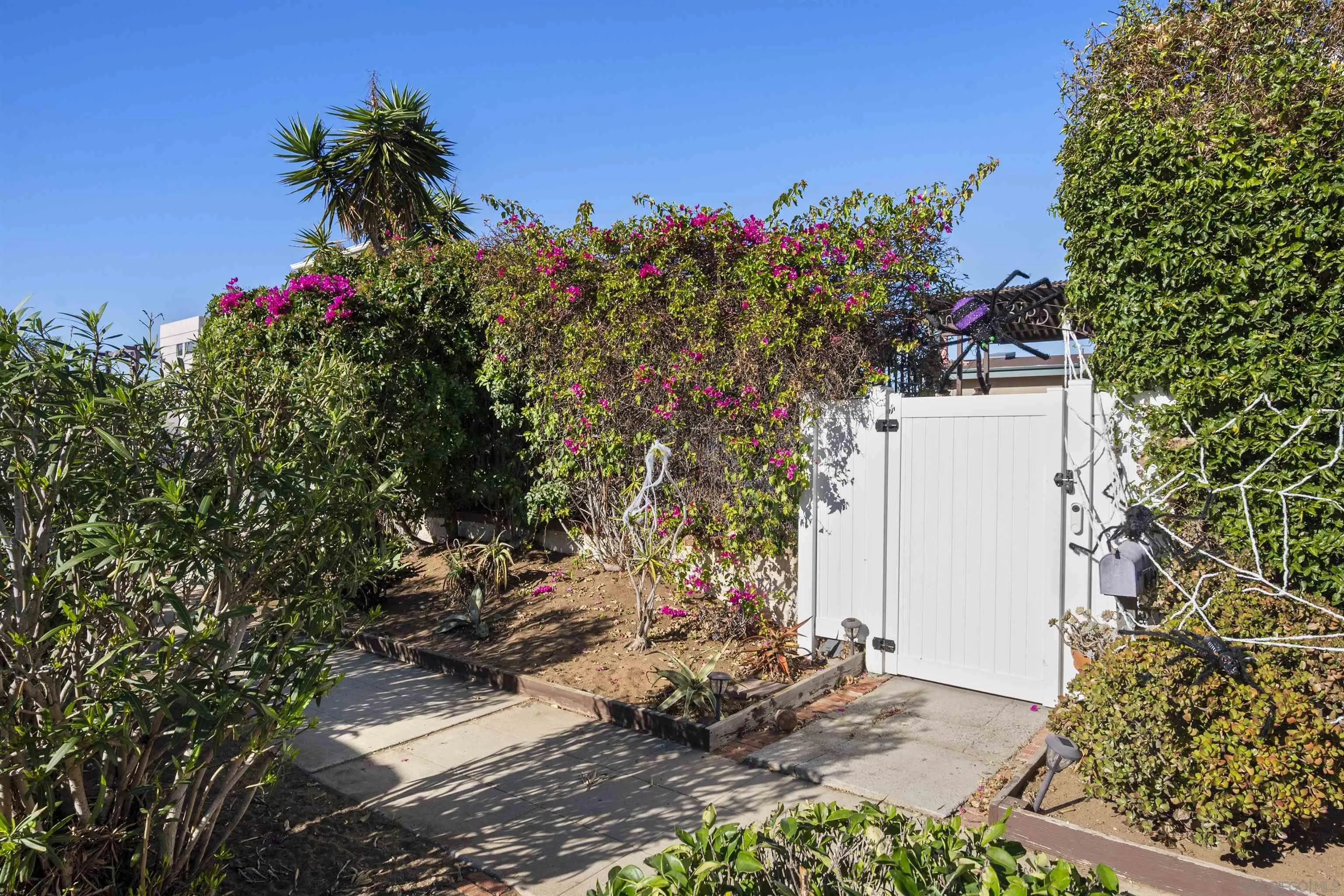 Photo #24: 250042972 Listing: Photo #24