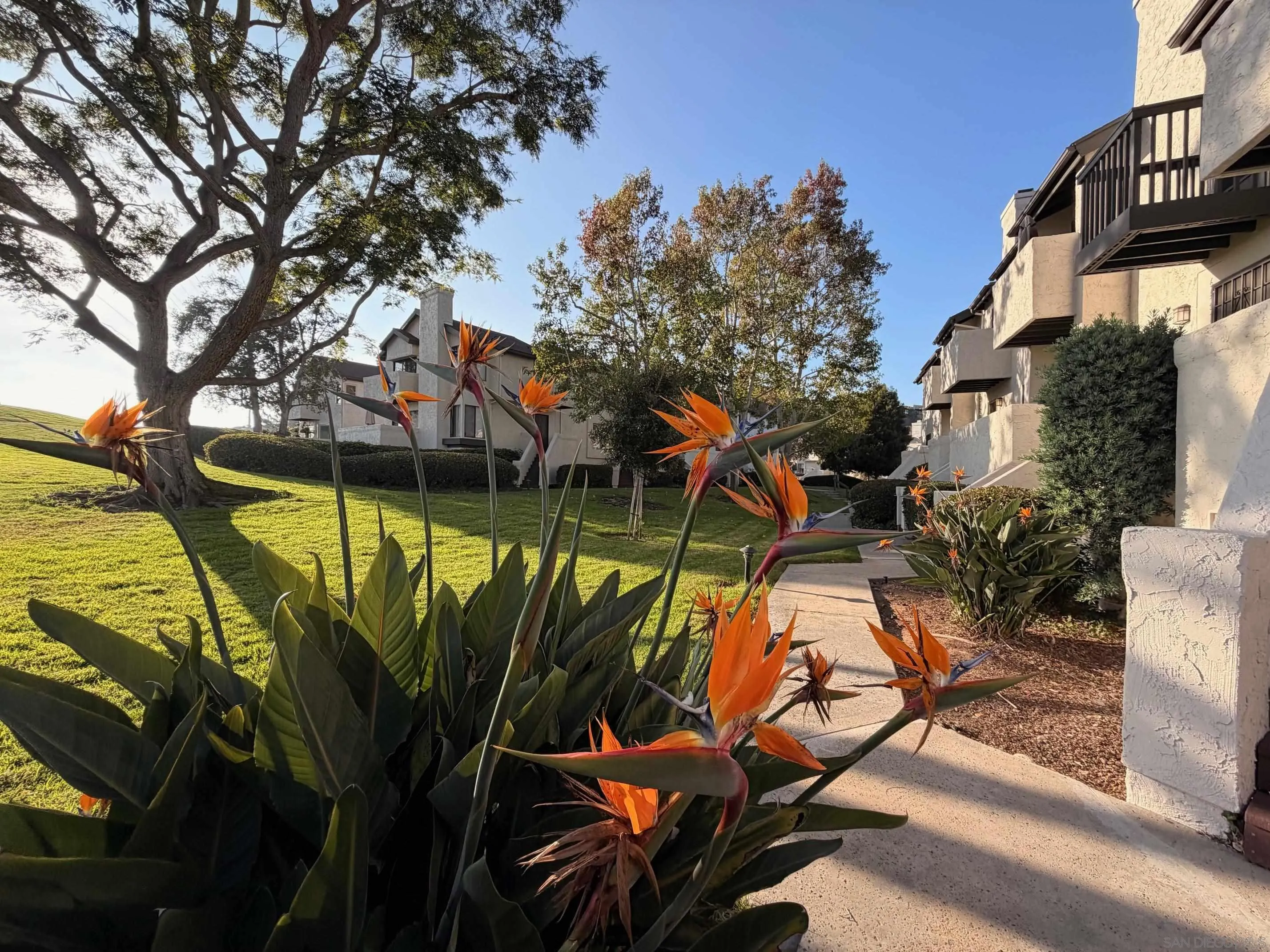 https://cdn.realtyfeed.com/cdn/127/250043121/7847f95117845097695415314a93a59d.webp