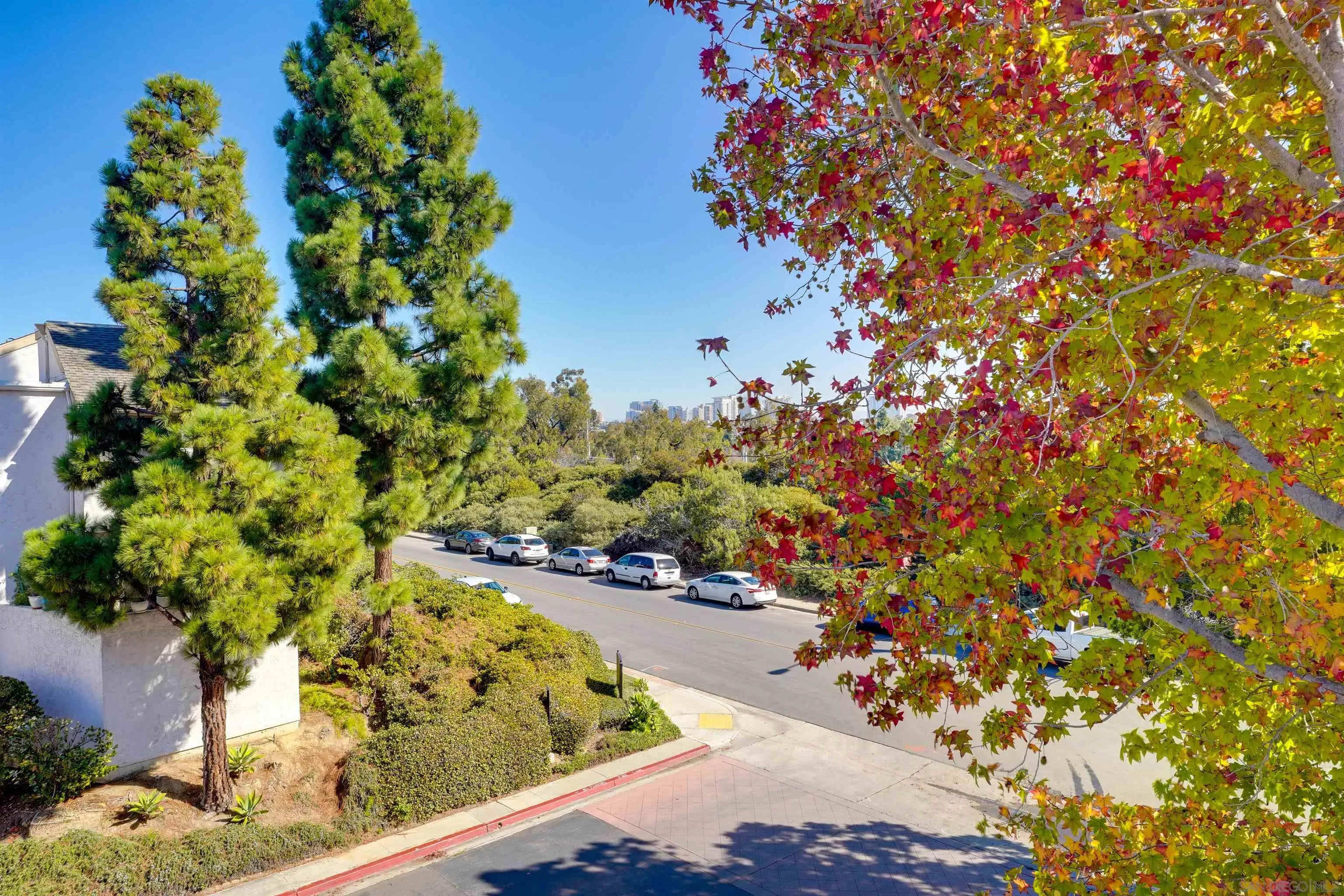 https://cdn.realtyfeed.com/cdn/127/250043187/cffa9197c7371f87057c5a3b692a0dbe.webp