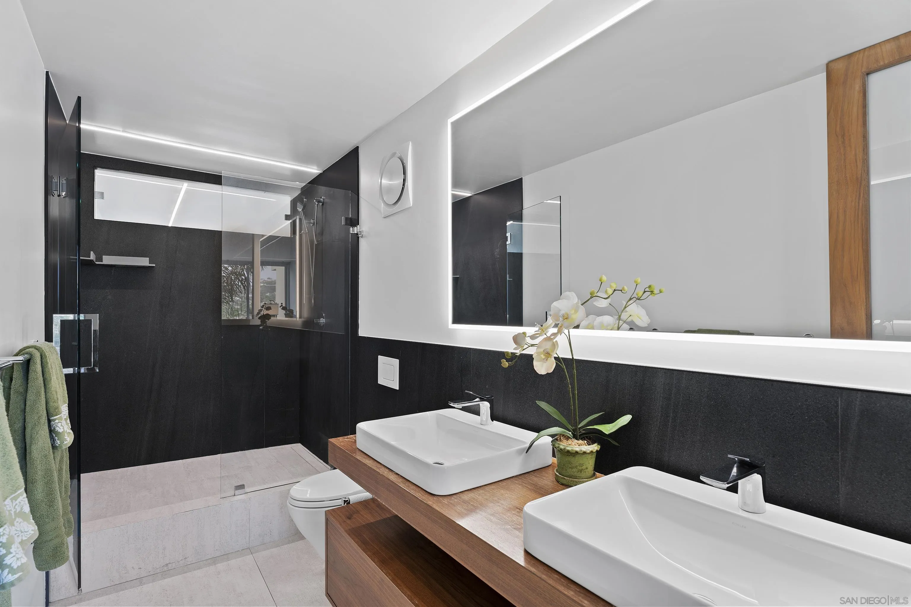 Photo #13: 250043251 Listing: Photo #13