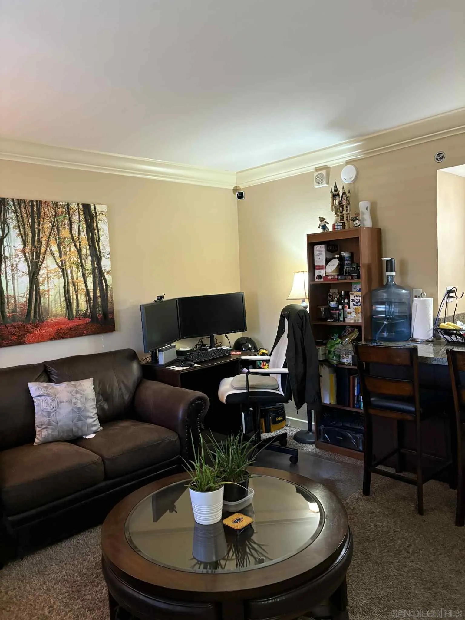 Photo #2: 250043384 Listing: Photo #2