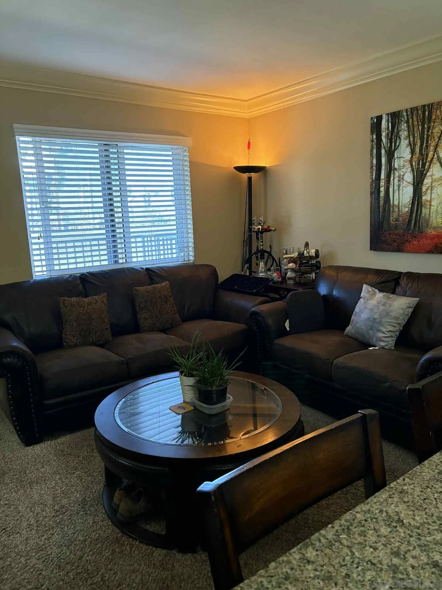 Photo #4: 250043384 Listing: Photo #4